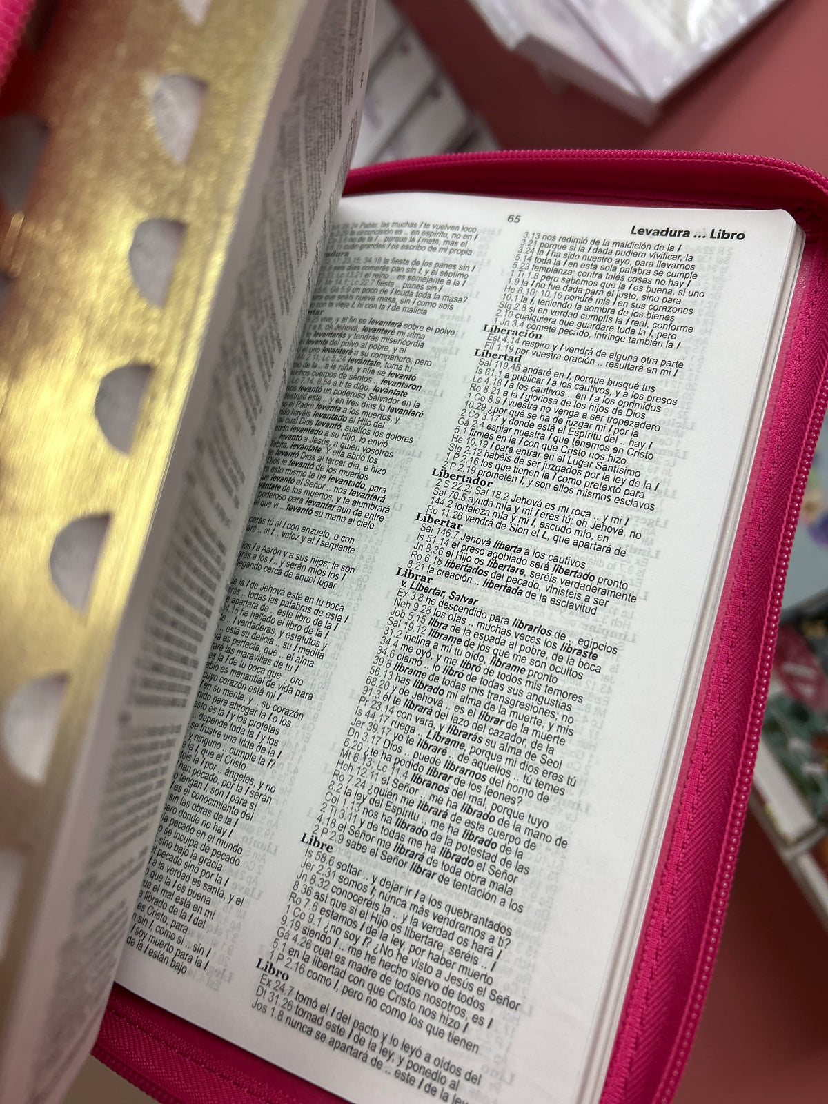 Biblia letra grande 12 puntos versión RV1960 con cierre índice canto dorado y concordancia