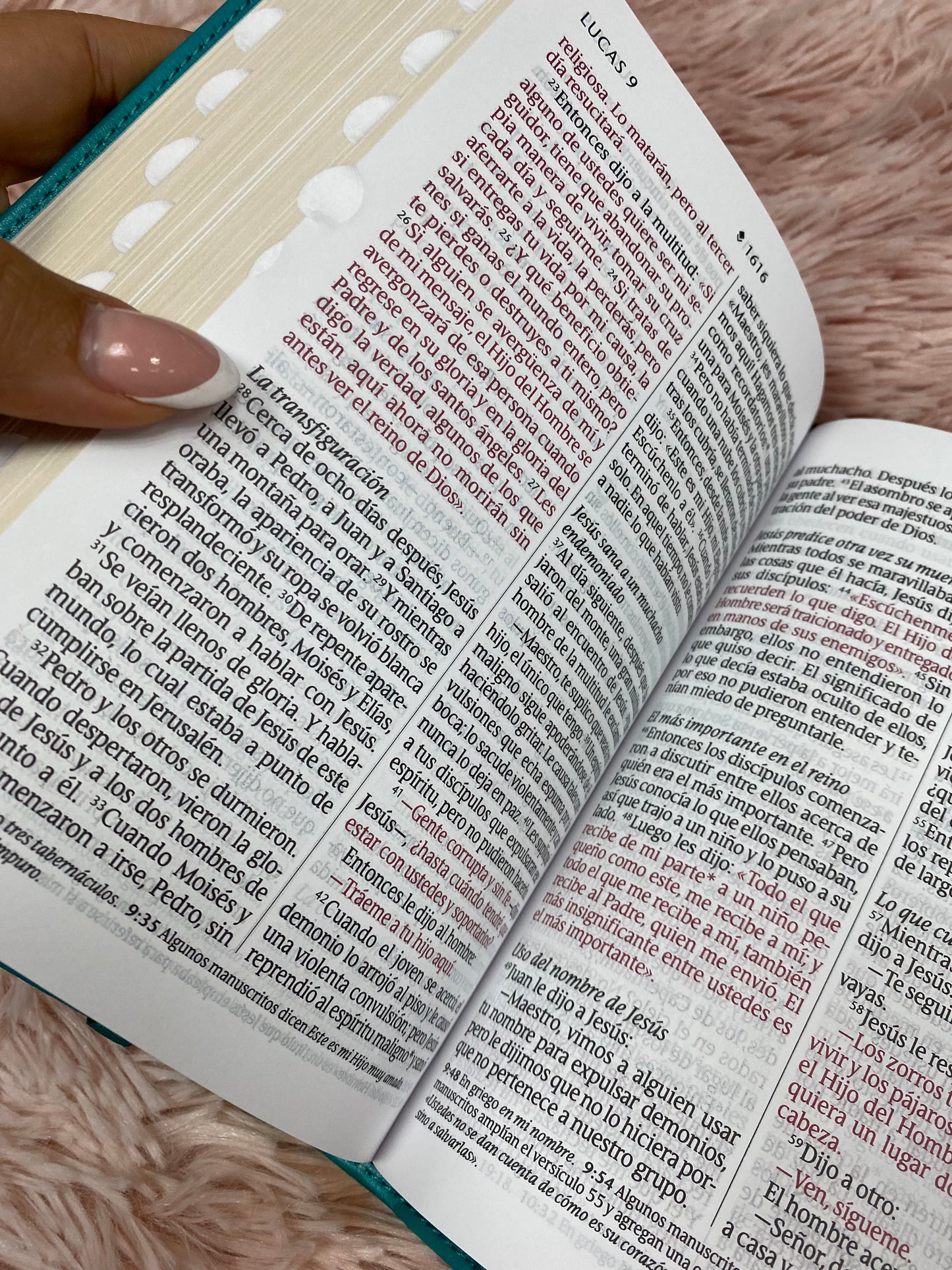 Biblia compacta mediana letra gigante versión NTV con canto dorado e índice en símil piel