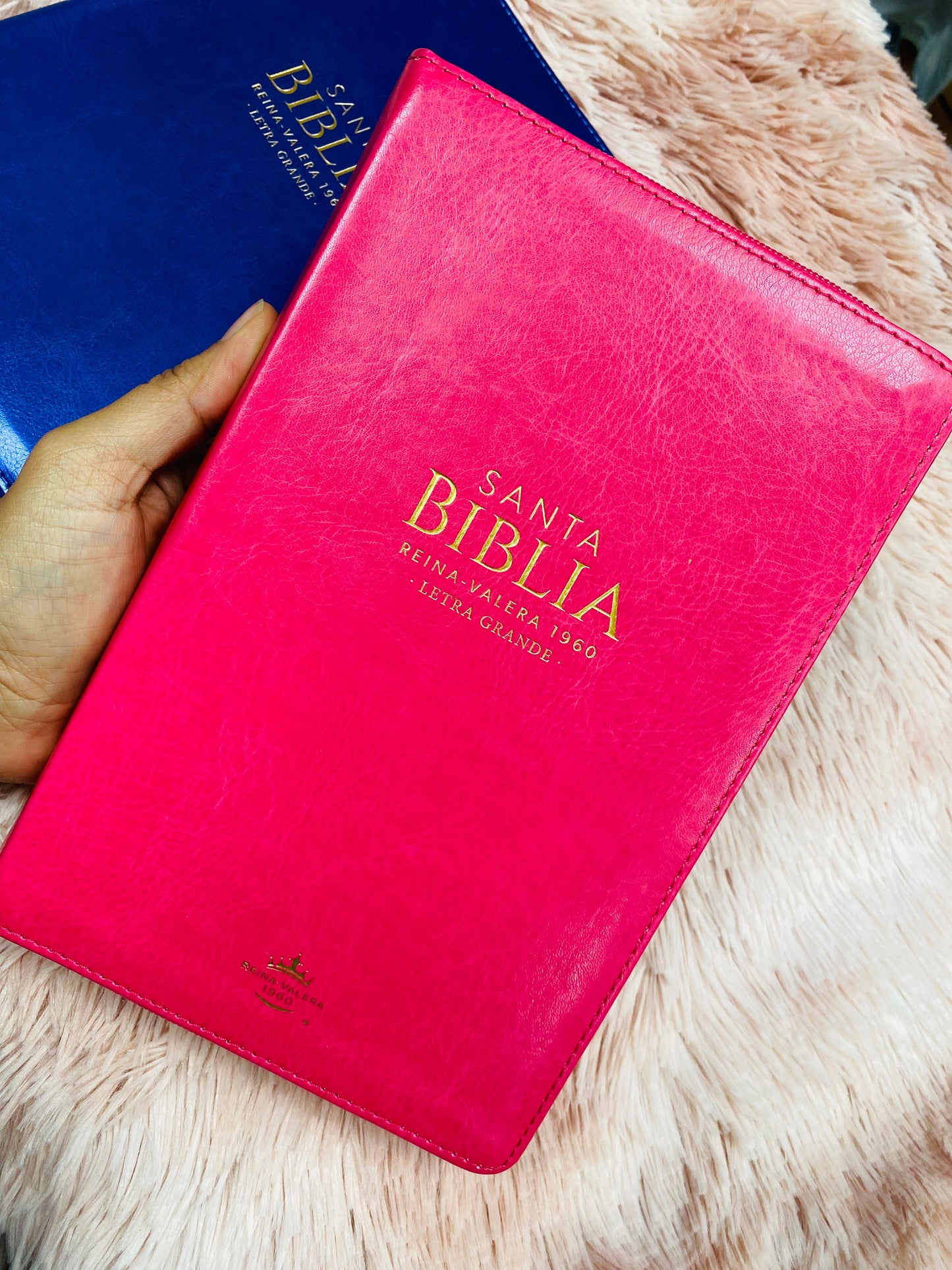 Biblia letra grande 12 puntos con índice cierre y canto dorado versión RV1960