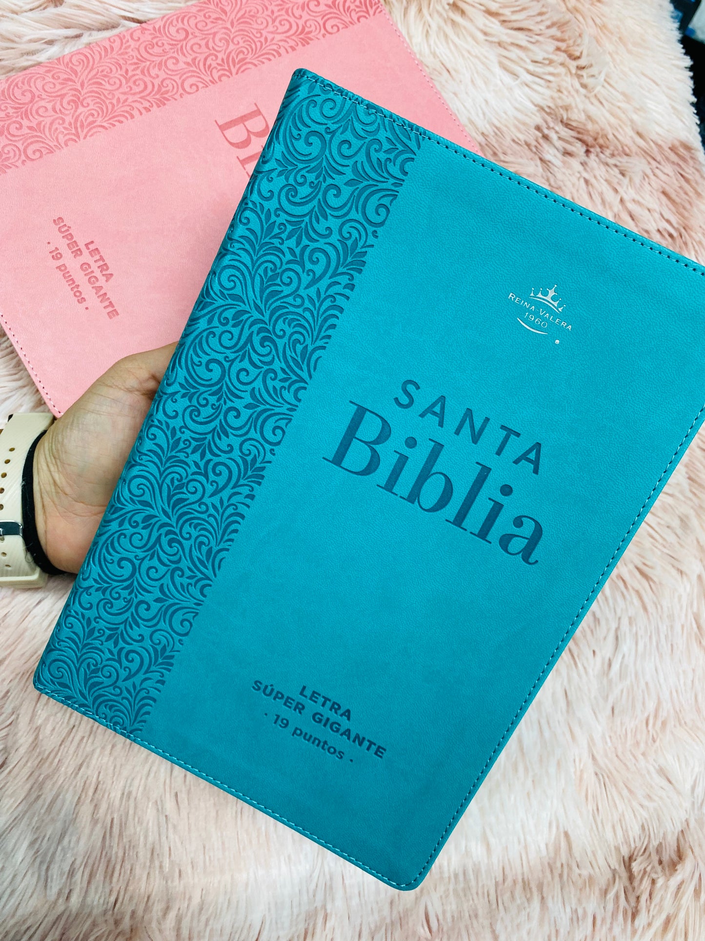 Biblia letra extra gigante 19 puntos con canto plateado símil piel y concordancia