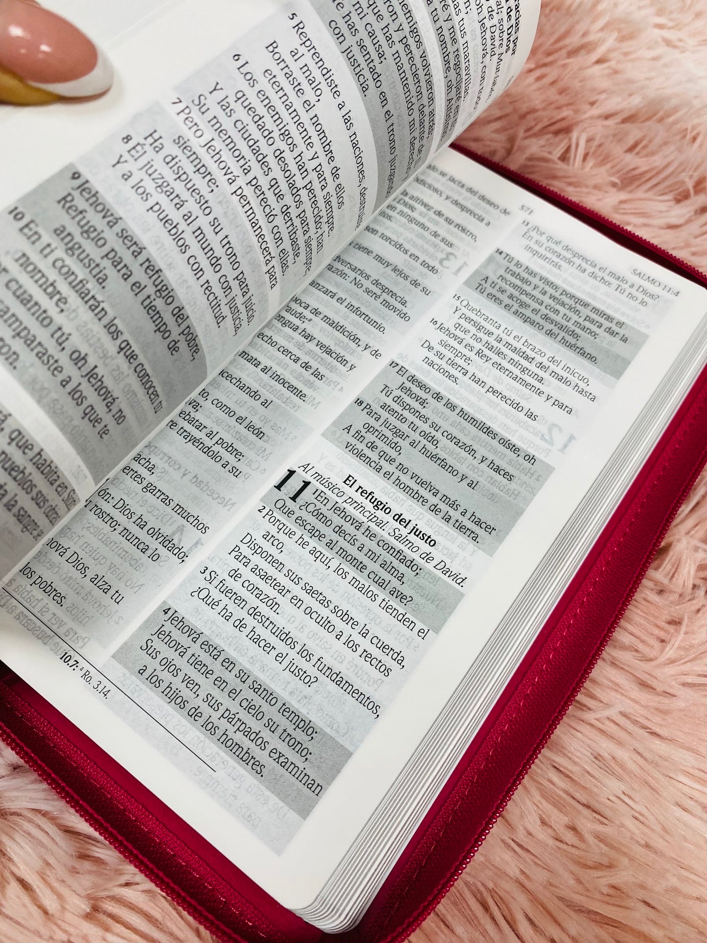 Biblia de promesas símil piel con cierre y canto plateado versión RV1960 letra grande 12 puntos