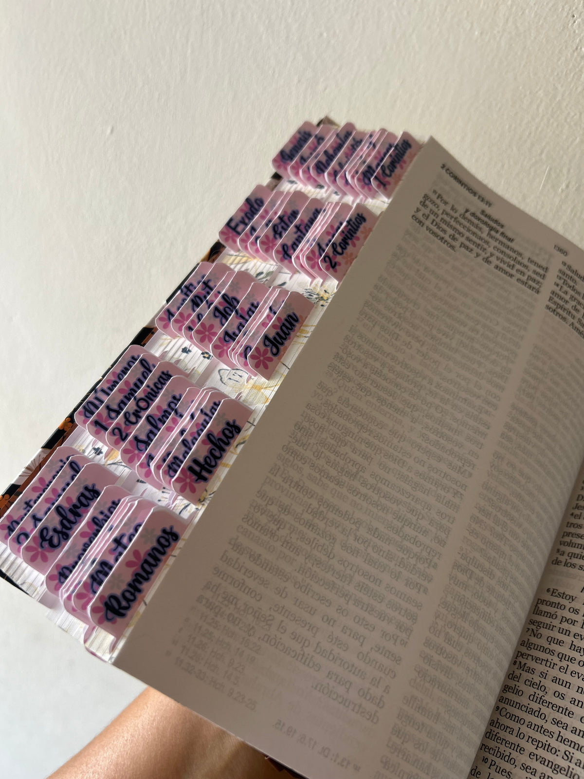 Biblia RV1960 tapa dura letra grande 12 puntos + personalizado