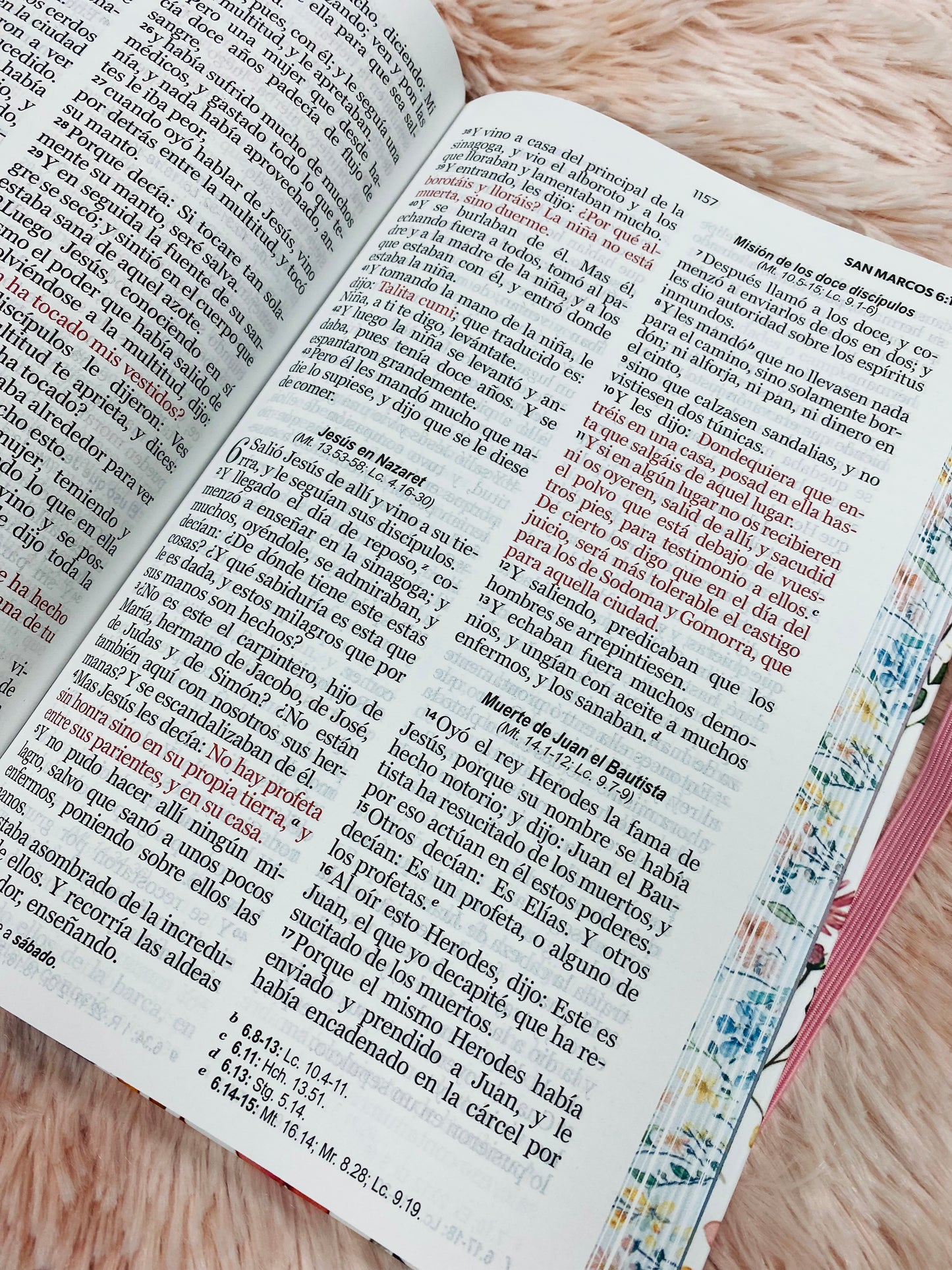 Biblia versión RV1960 de tapa dura diseño en relieve de letra grande 12 puntos con canto pintado, liga, palabras de Jesús en rojo con concordancia