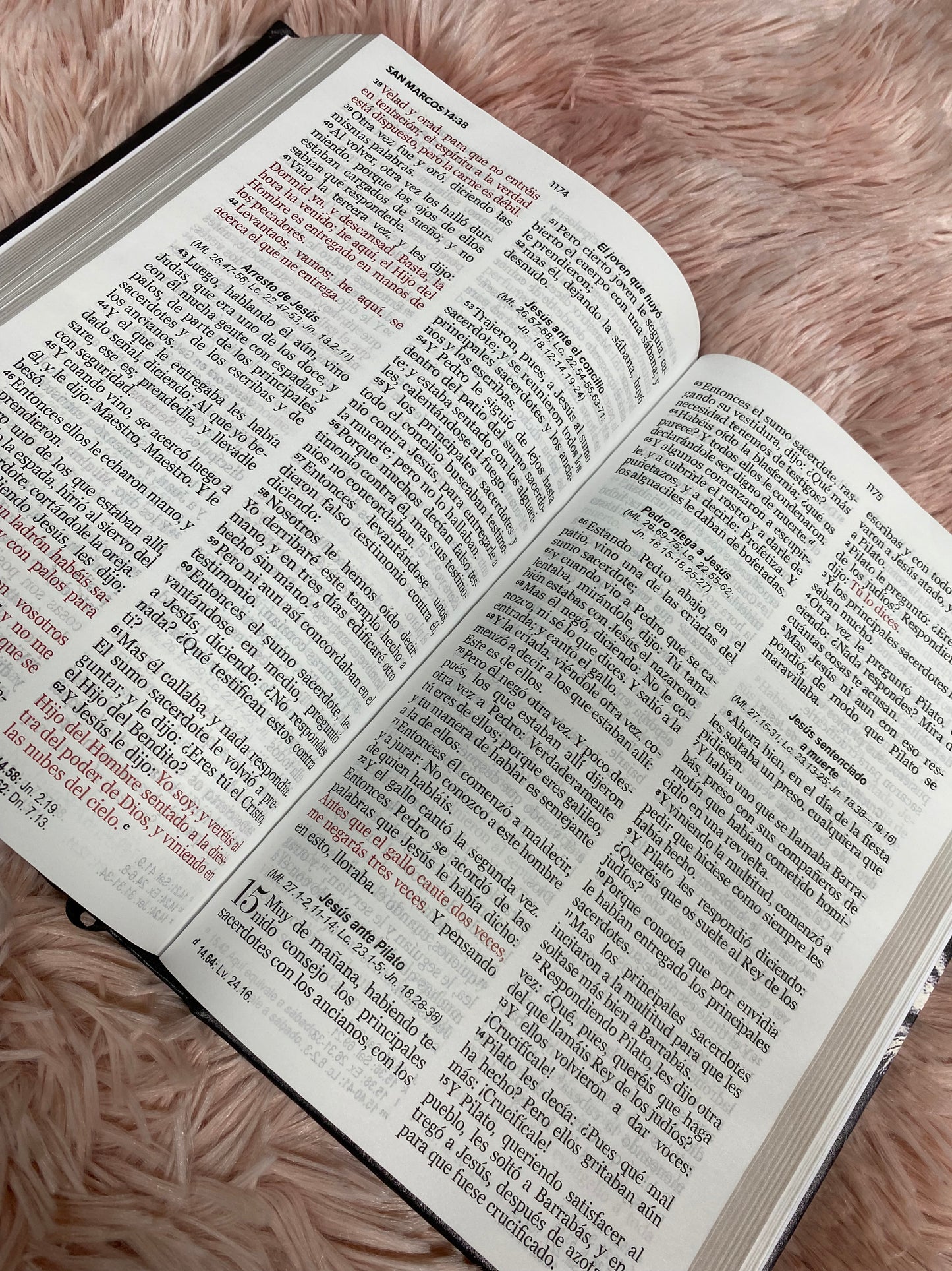 Biblia tapa dura letra grande canto dorado palabras de Jesús en rojo versión RV1960