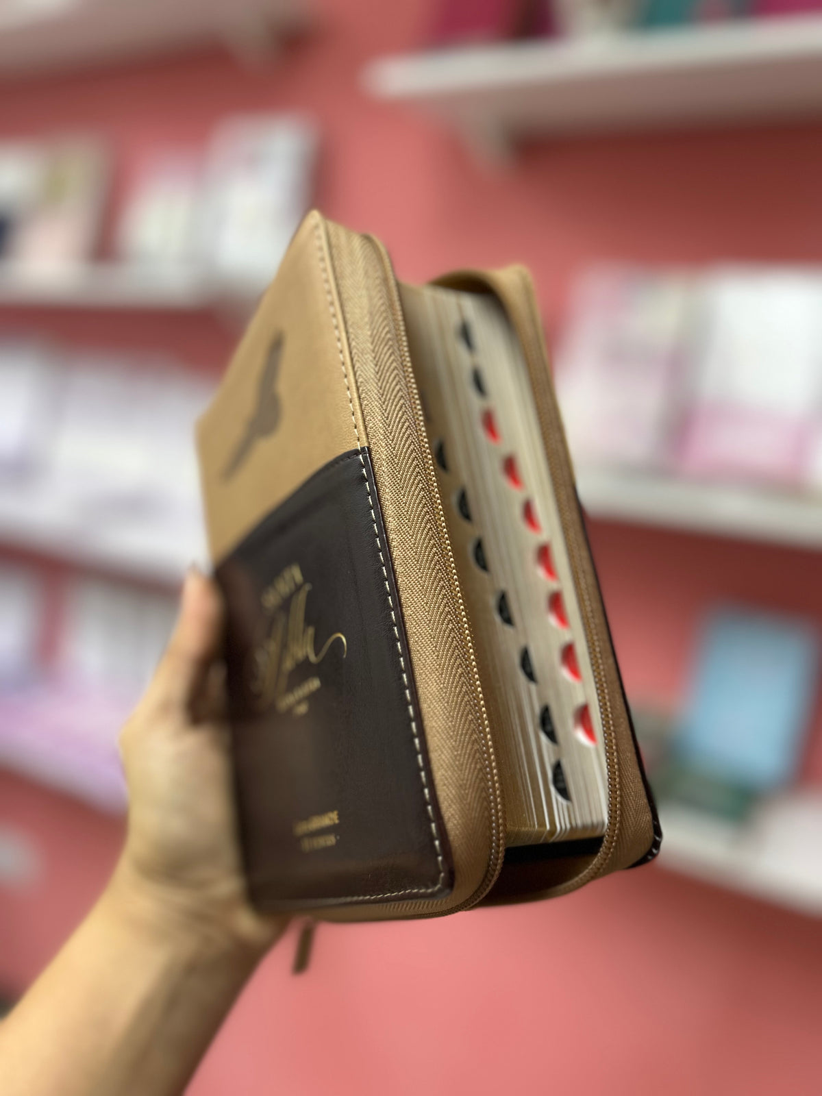 Biblia letra grande 11 puntos con cierre e índice versión RV1960 canto dorado palabras de Jesús en rojo beige y marrón águila