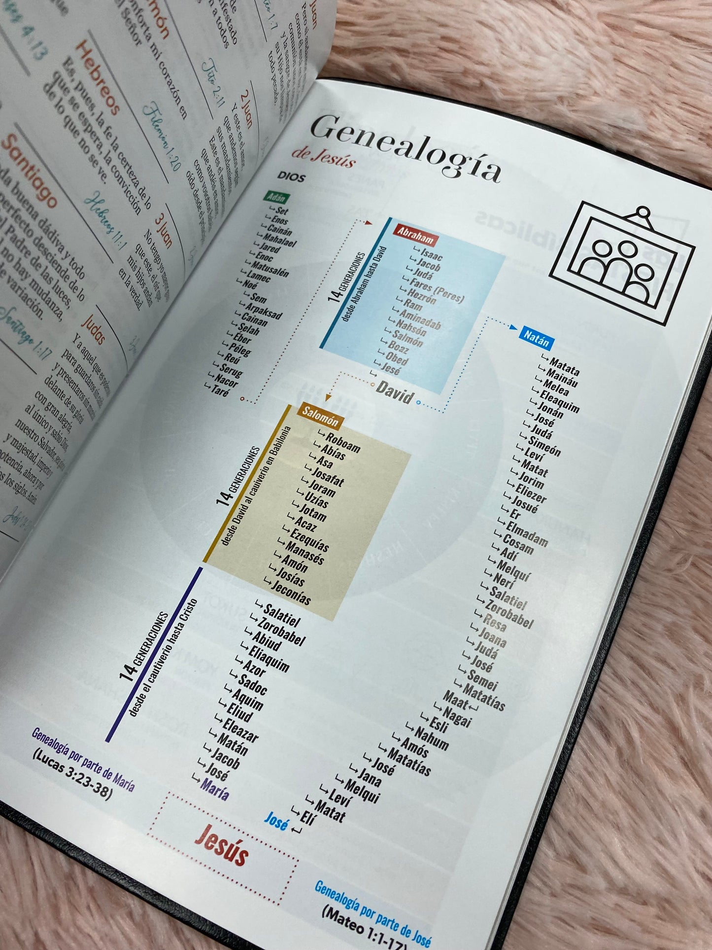 Biblia versión RV1960 en imitación piel de alta calidad letra grande 11,5 puntos canto pintado con concordancia y palabras de Jesús en rojo