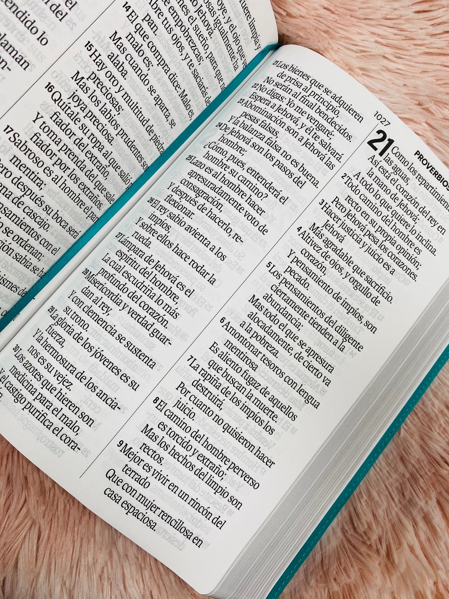 Biblia letra extra gigante 19 puntos con canto plateado símil piel y concordancia