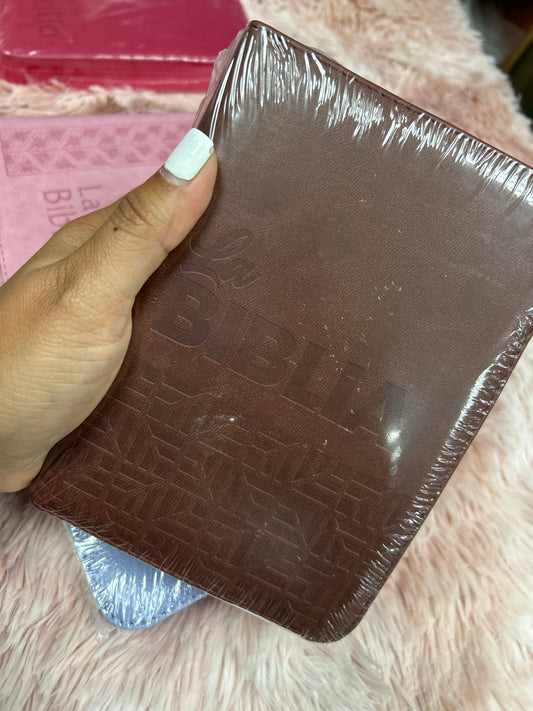 Biblia mediana tamaño compacta con cierre versión TLA letras grandes canto pintado