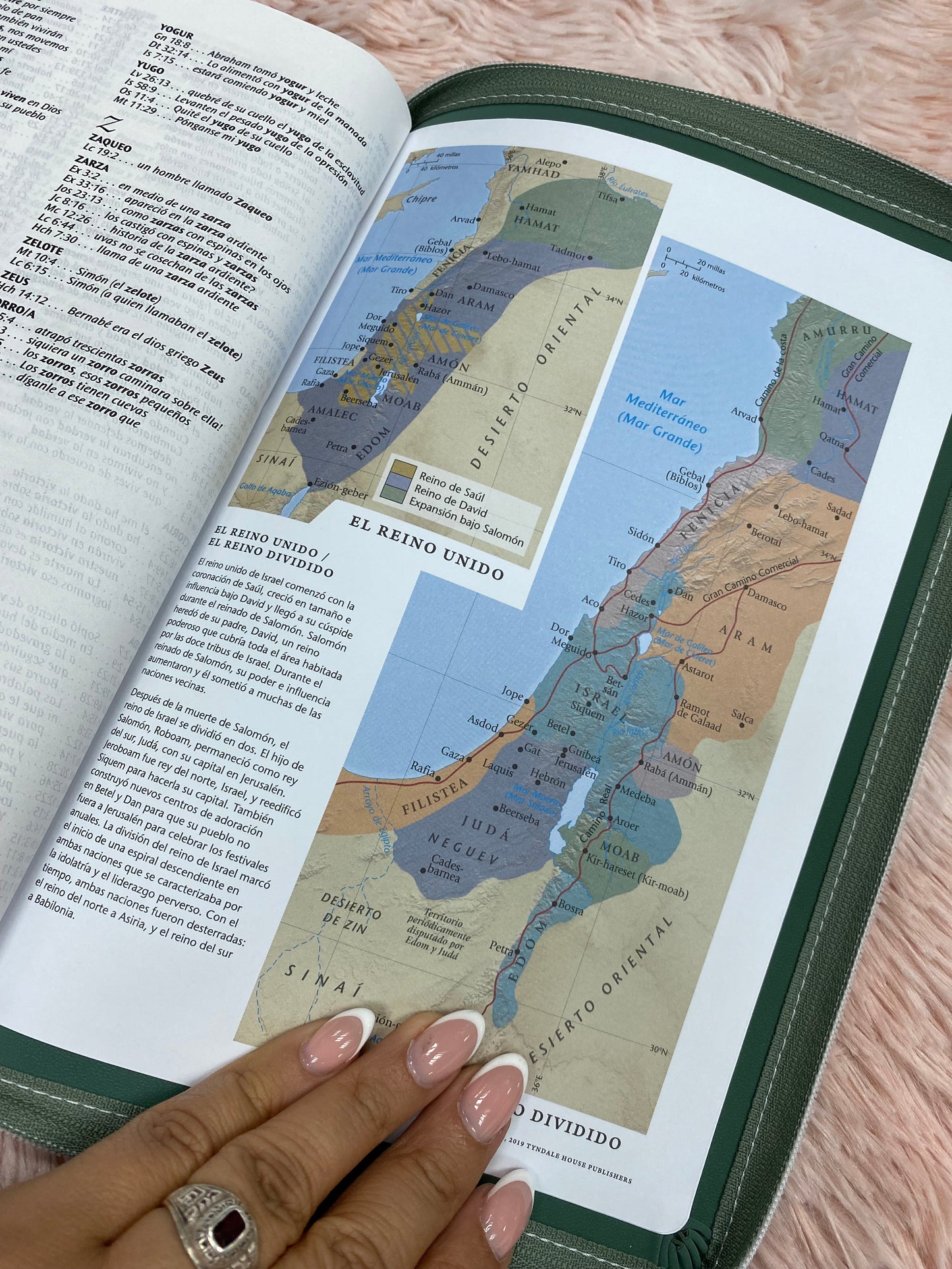 Biblia de referencia en columna central versión NTV de letra grande con cierre símil piel estilo gamuza con concordancia