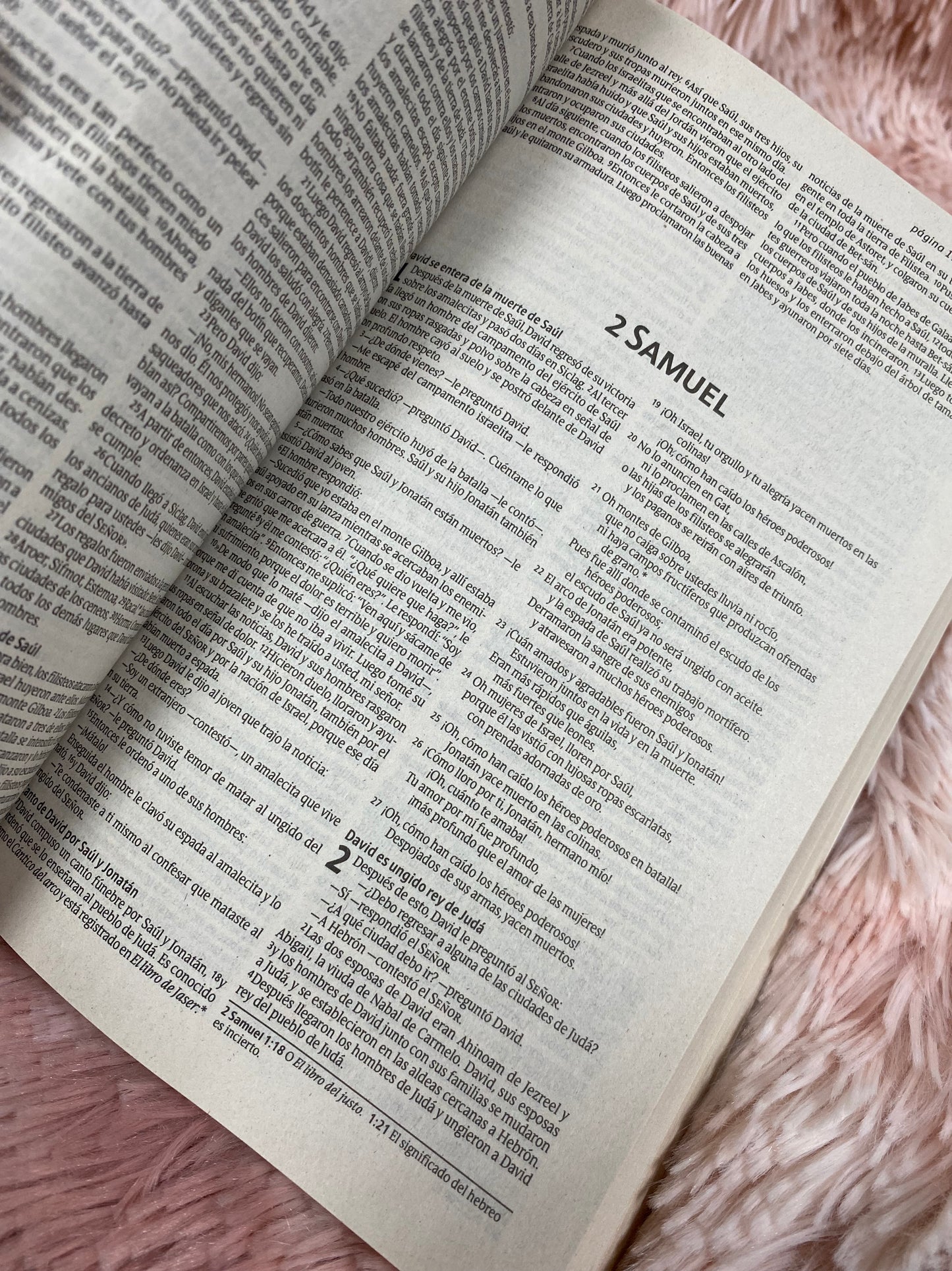 Biblias económicas tapa rústica papel imprenta versión NTV