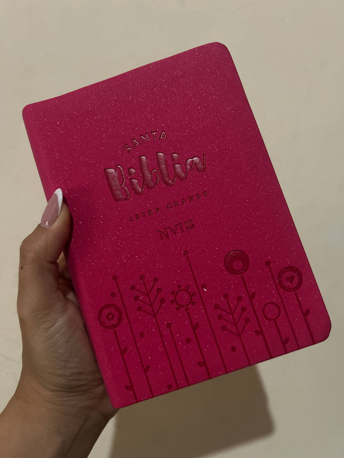 Biblia letra grande tamaño compacto versión NVI canto plateado palabras de Jesús en rojo
