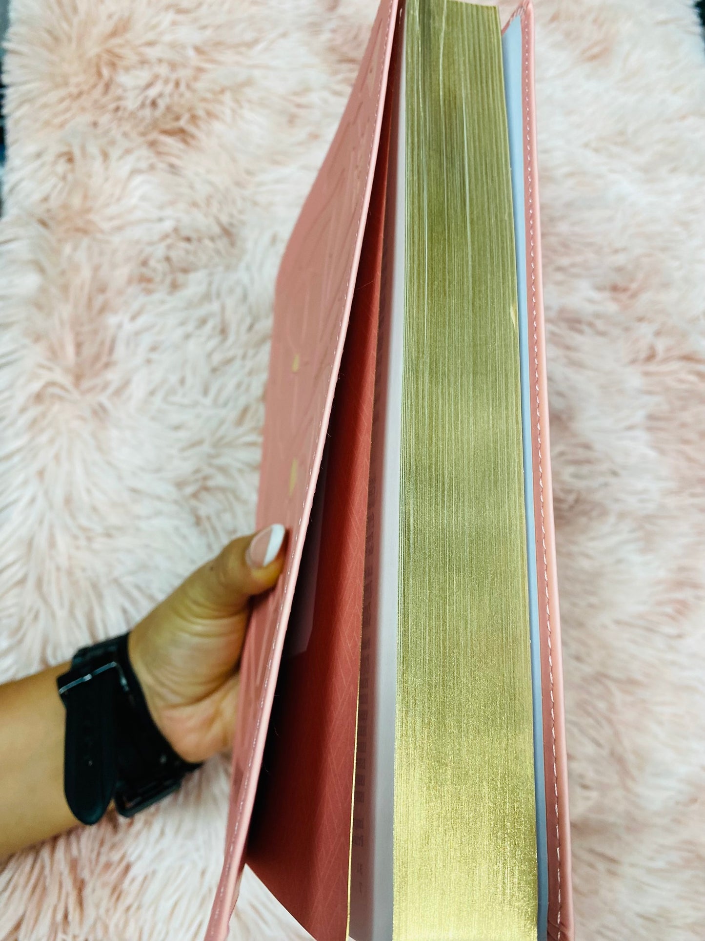 Biblia ultrafina de versión NTV en símil piel letra grande 10,25 de canto dorado con concordancia y palabras de Jesús en rojo
