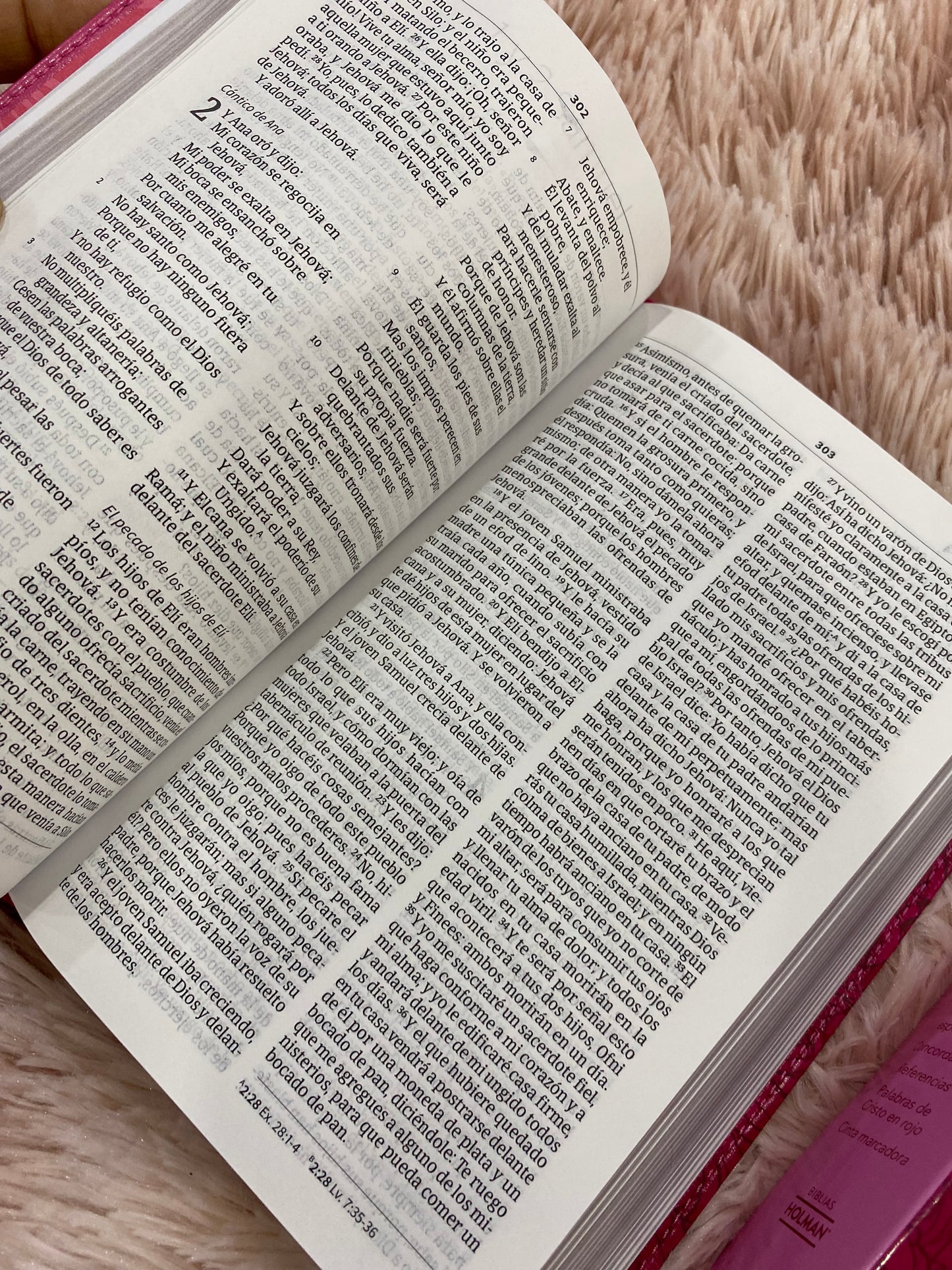 Biblia quinceañera en símil piel con relieve en versión RV1960