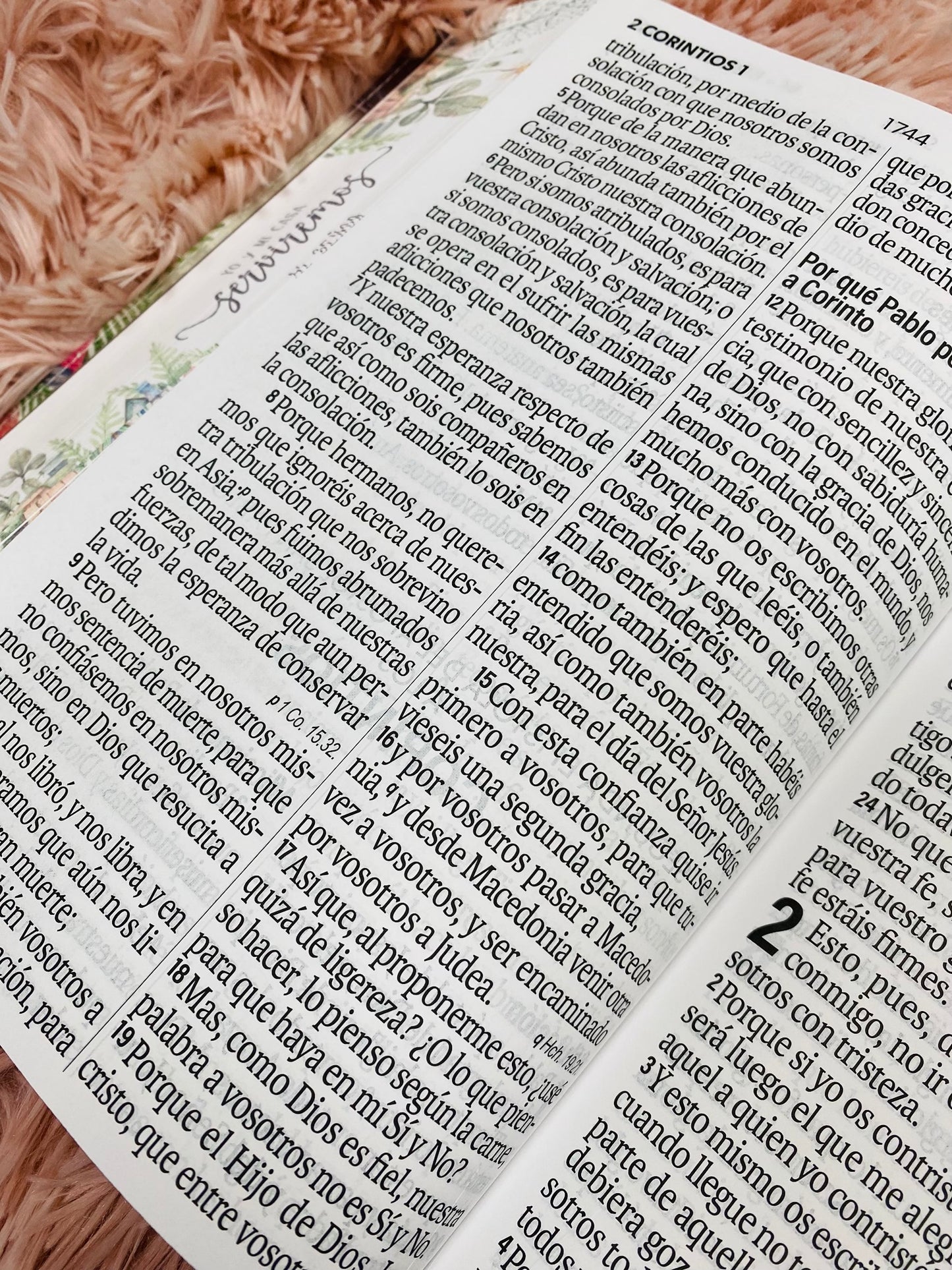 Biblia letra súper gigante 19 puntos con canto pintado versión RV1960 con concordancia