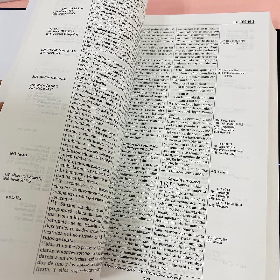 Biblia de estudio Thompson milenio de referencias versión RV1960 en tapa dura