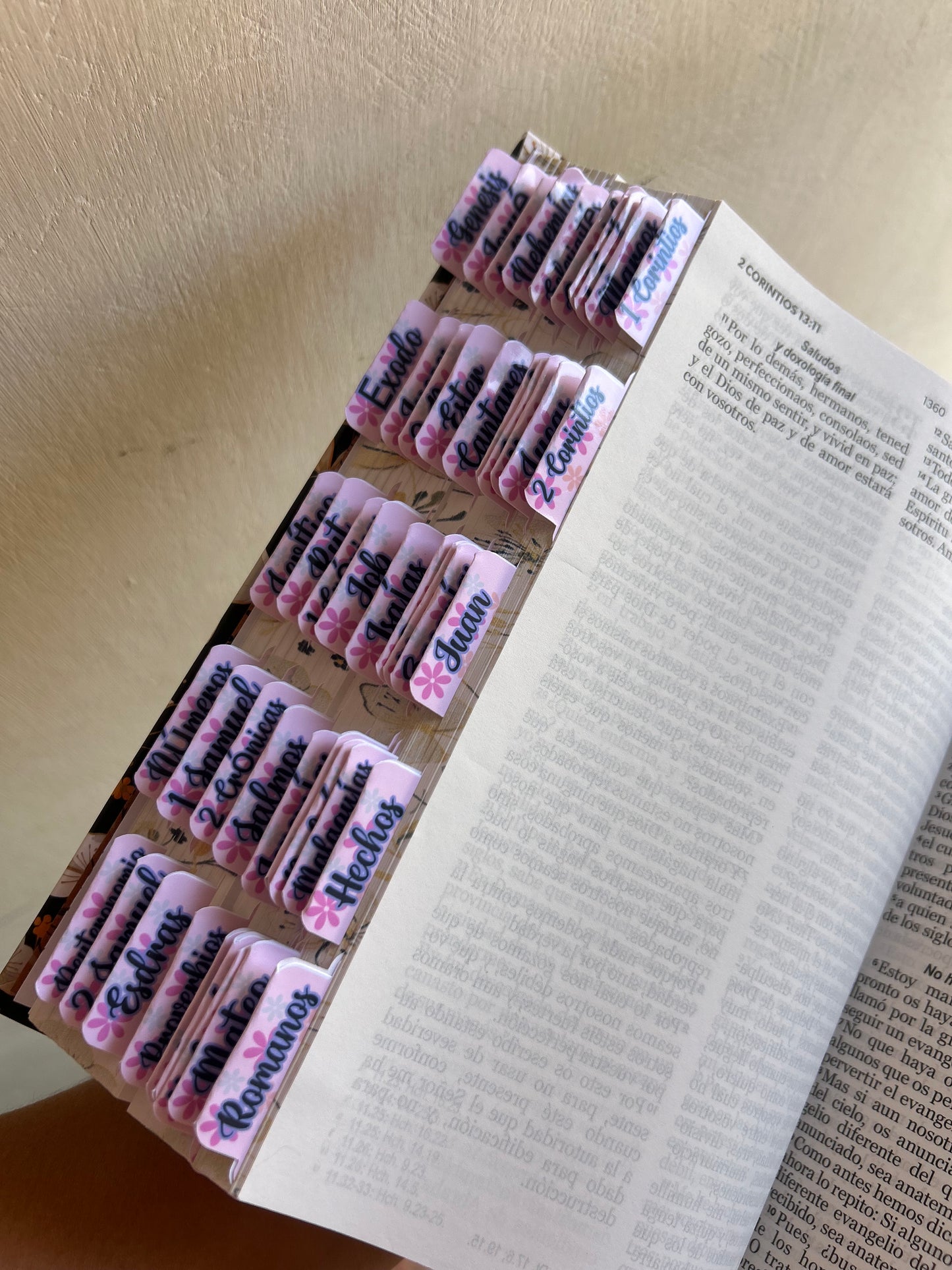 Biblia RV1960 tapa dura letra grande 12 puntos + personalizado