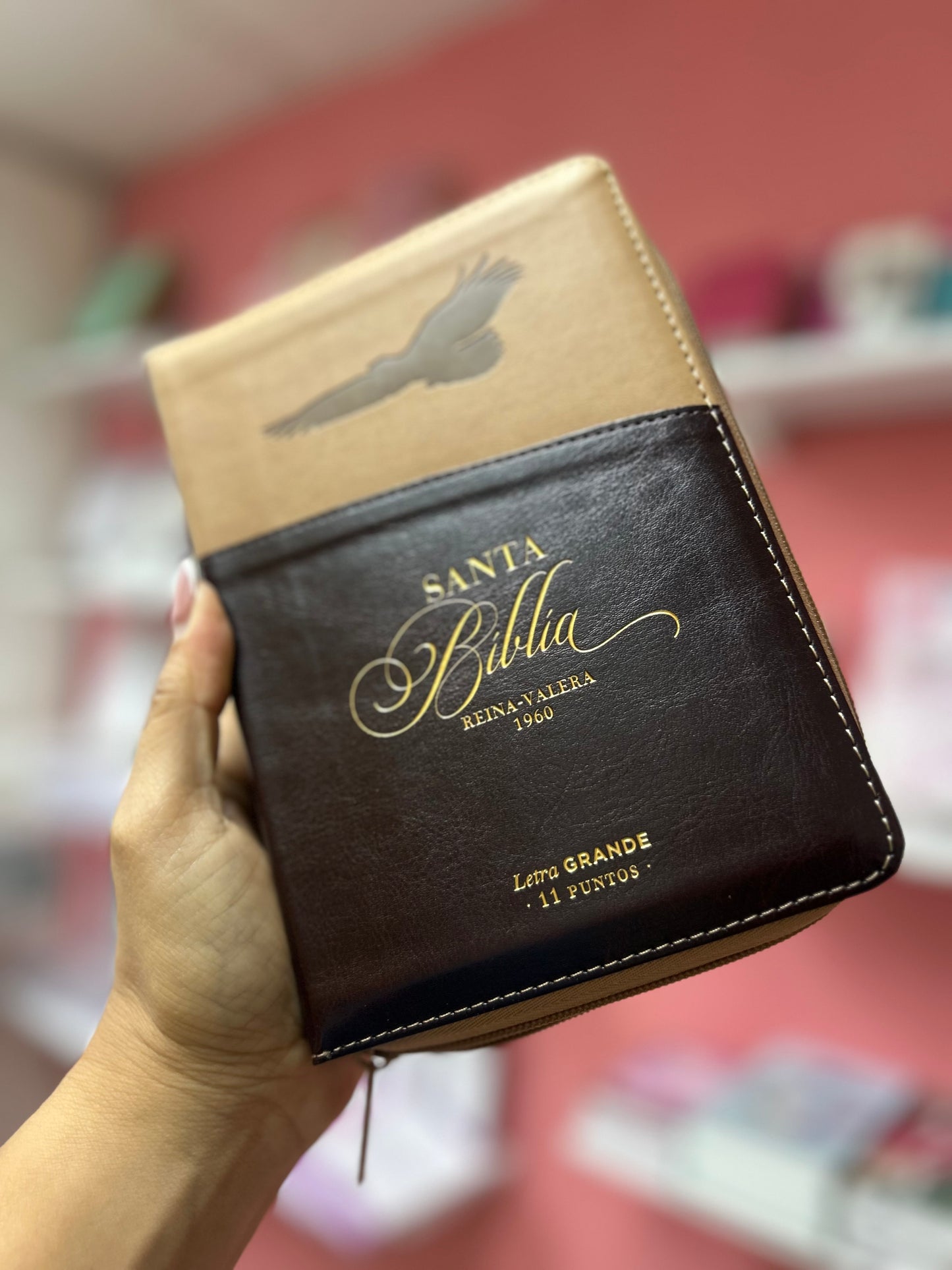 Biblia letra grande 11 puntos con cierre e índice versión RV1960 canto dorado palabras de Jesús en rojo beige y marrón águila