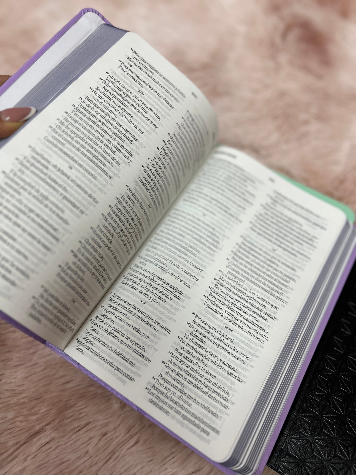 Biblia de letra grande 11,5 puntos en símil piel canto pintado palabras de Jesús en rojo y concordancia