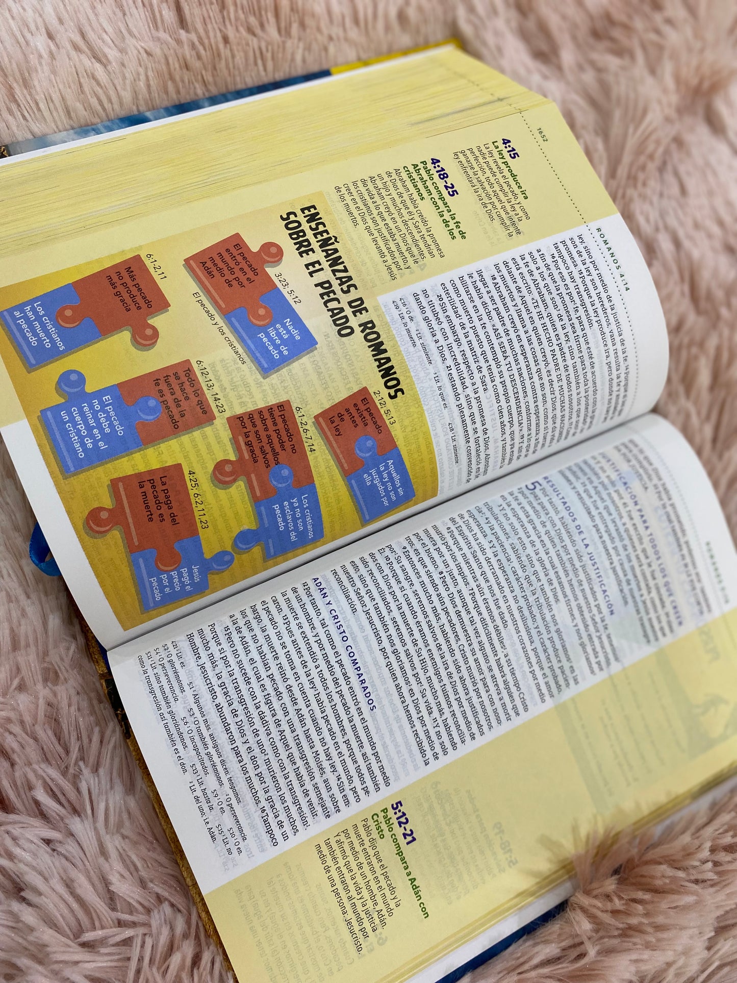 Biblia visual de estudio para niños versión NBLA