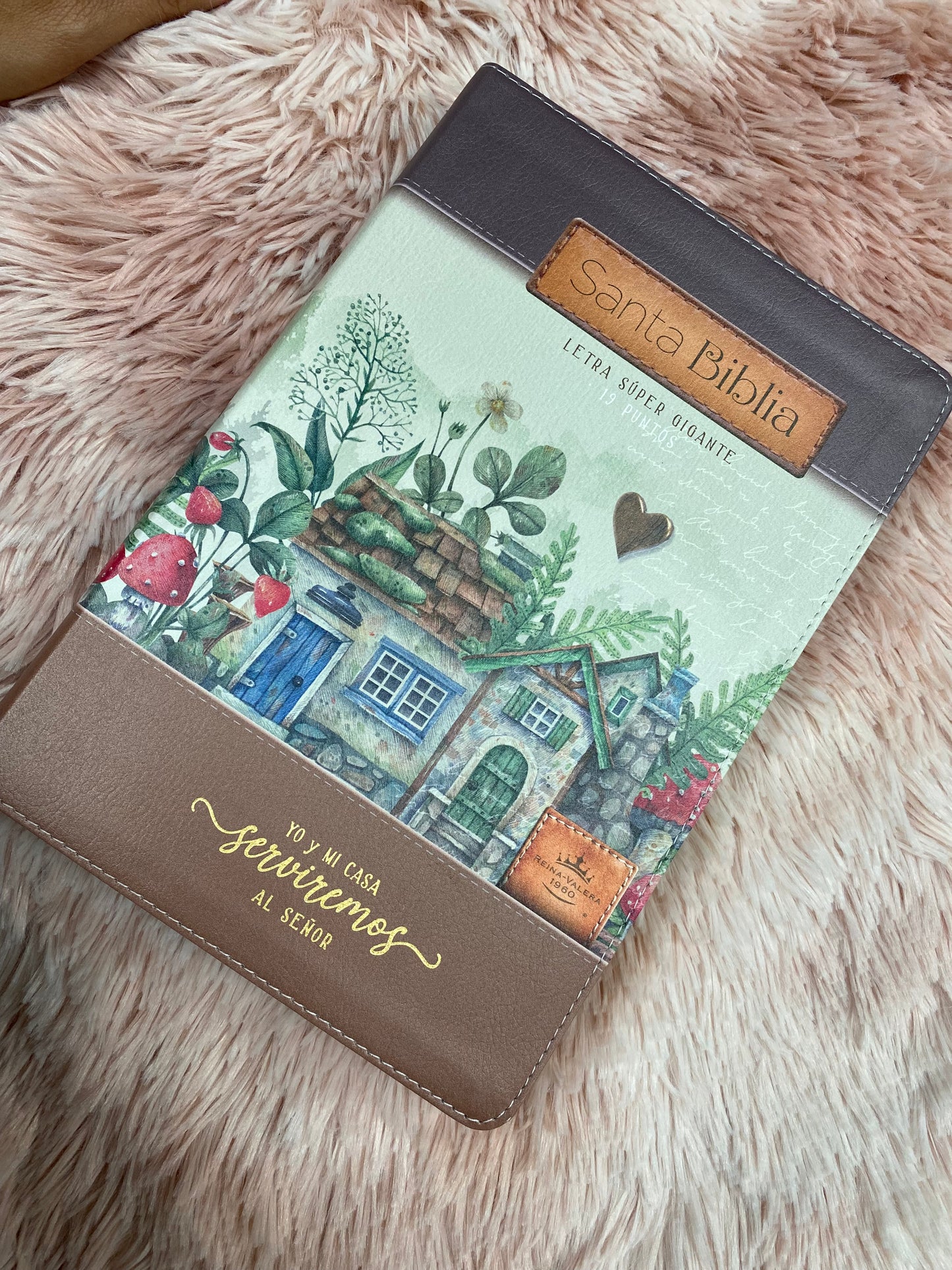 Biblia letra súper gigante 19 puntos con canto pintado versión RV1960 con concordancia