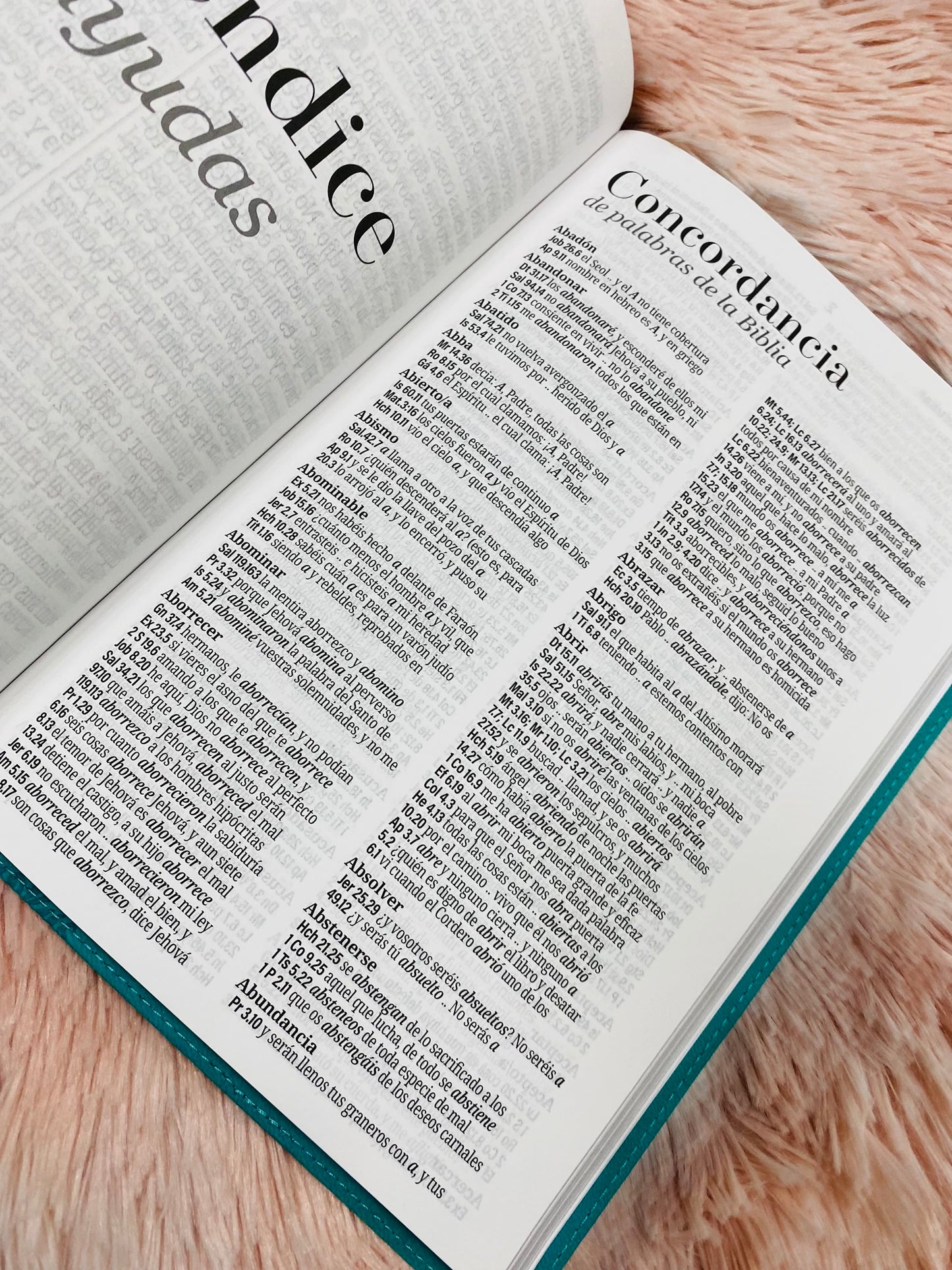 Biblia letra extra gigante 19 puntos con canto plateado símil piel y concordancia