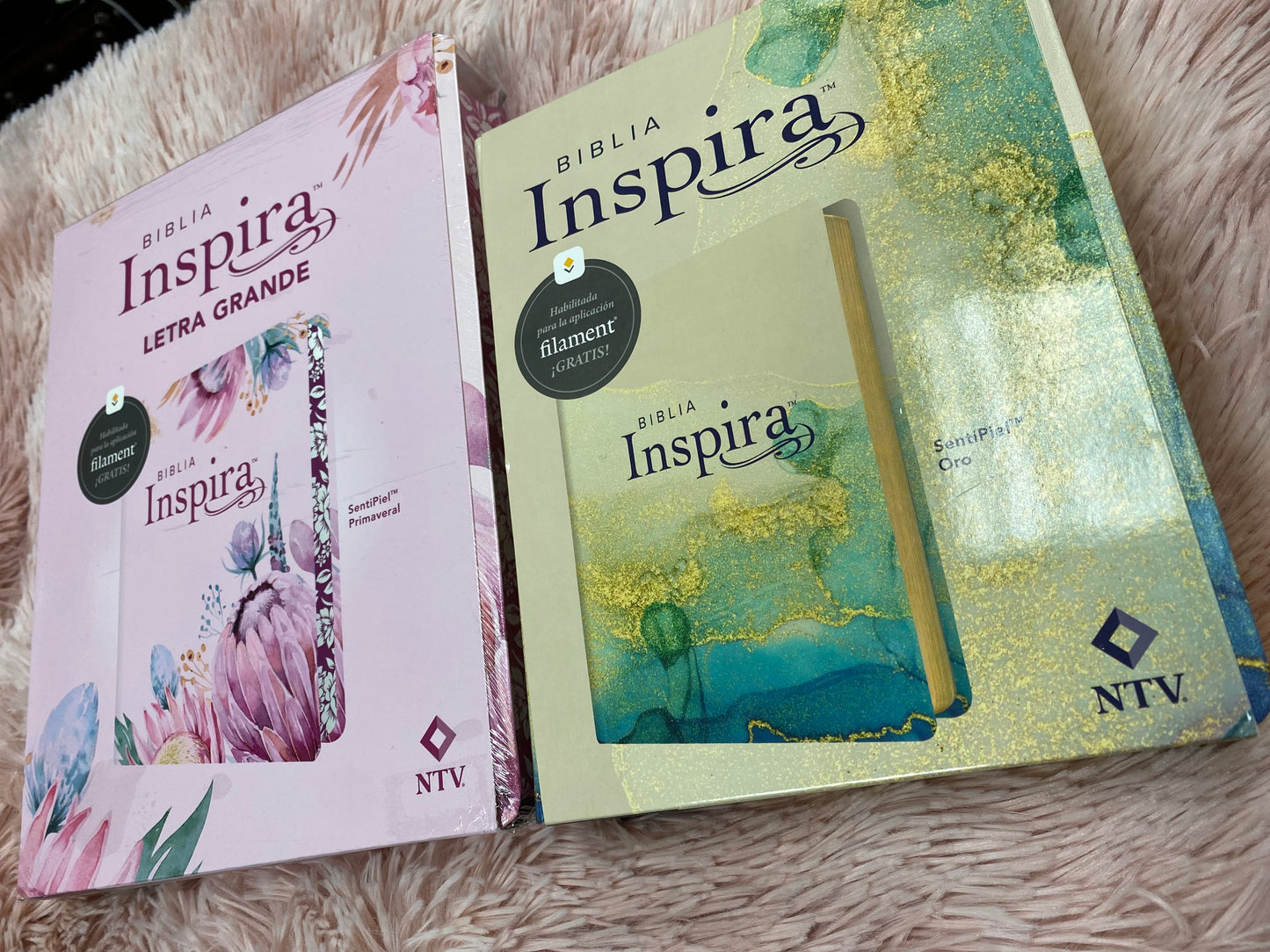 Biblia inspira artística versión NTV de letra grande