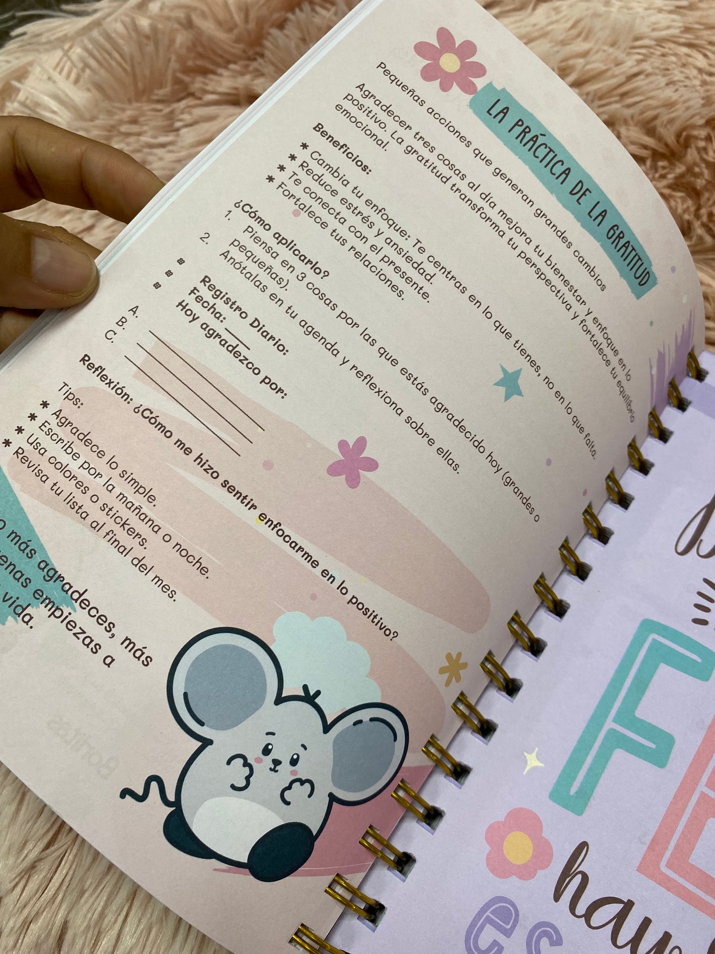 Agendas 2026 - Colección borlitas de espirales