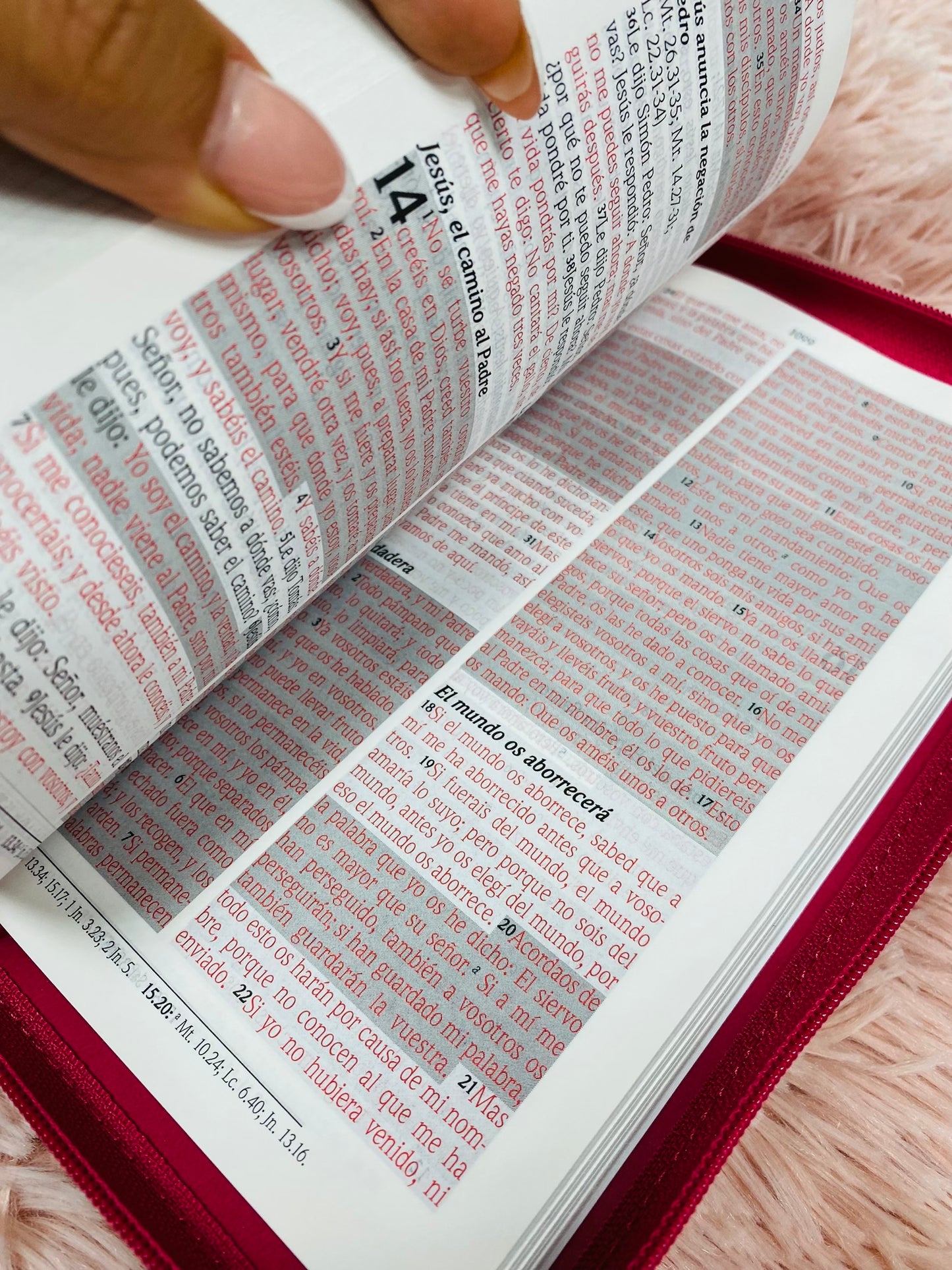 Biblia de promesas símil piel con cierre y canto plateado versión RV1960 letra grande 12 puntos
