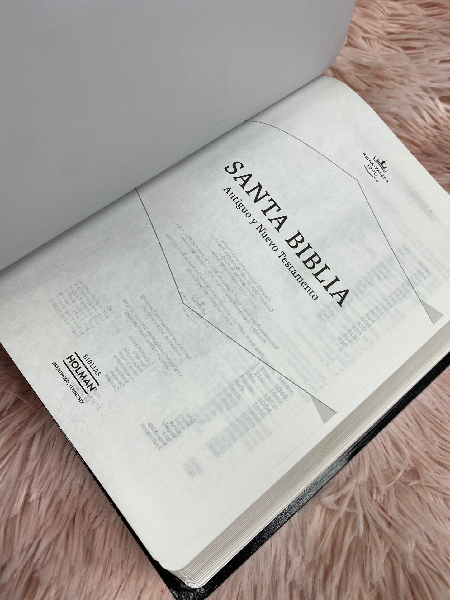 Biblia versión RV1960 tapa flexible letra mediana palabras de Jesús en rojo