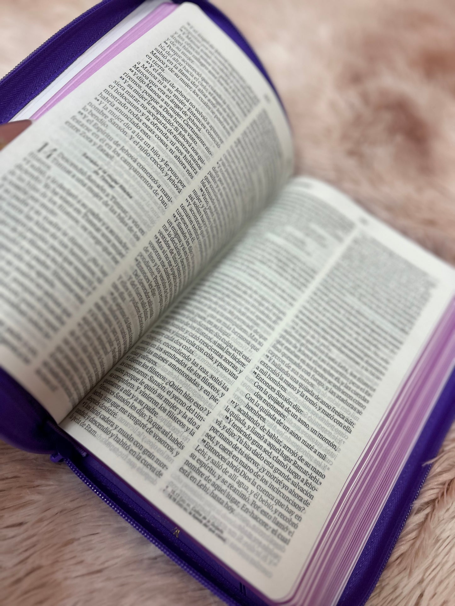 Biblia de letra grande 11,5 puntos con cierre en símil piel canto pintado palabras de Jesús en rojo y concordancia