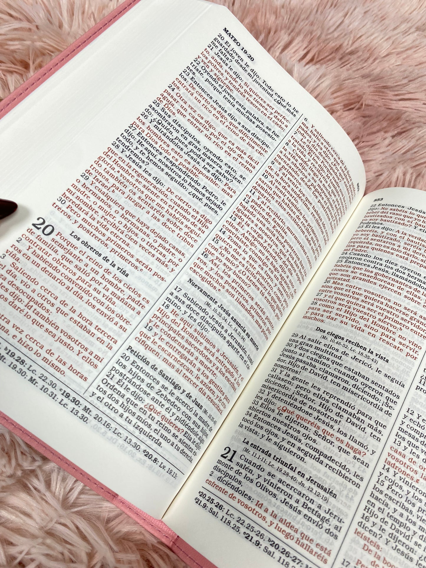 Biblia de regalos y premios en simil piel con palabras de Jesús en rojo y concordancia letra mediana versión RV1960