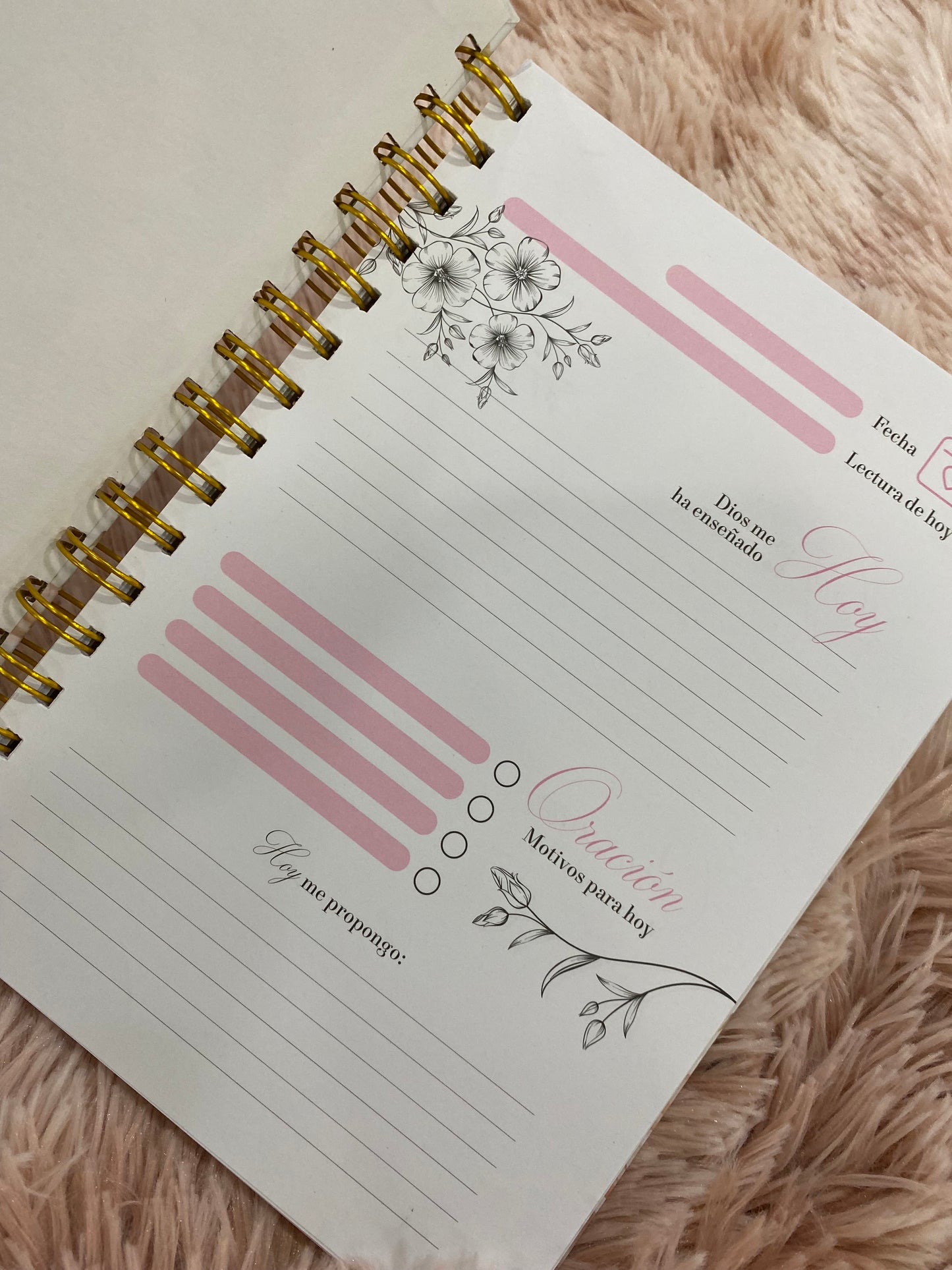 Diario devocional; mis momentos con Dios con espiral tapa dura