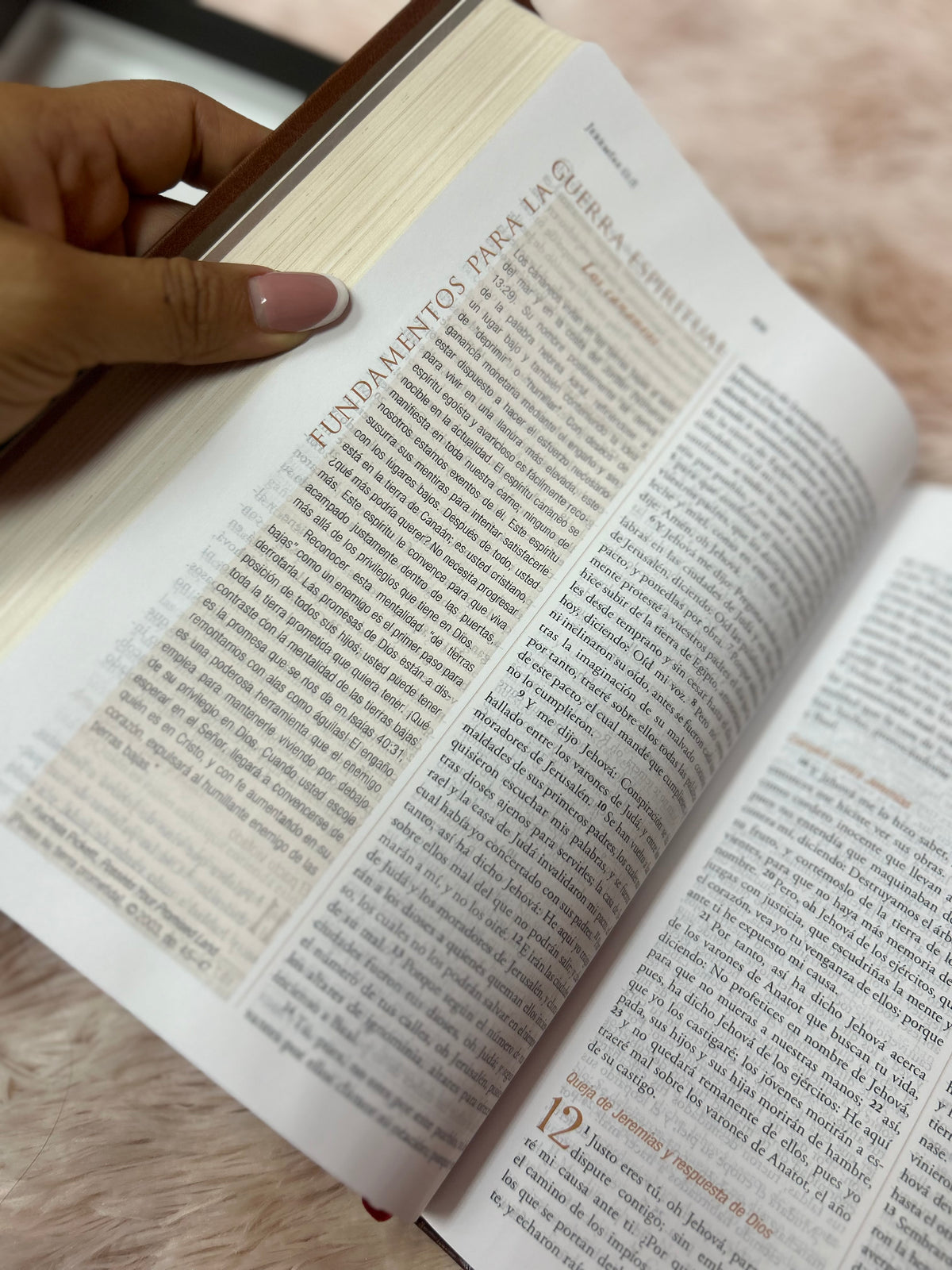 Biblia de estudio para la guerra espiritual en imitación piel de lujo canto dorado versión RV1960