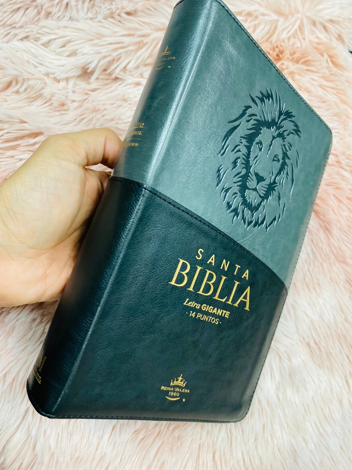 Biblia letra gigante 14 puntos símil piel versión RV1960 con cierre e índice y concordancia