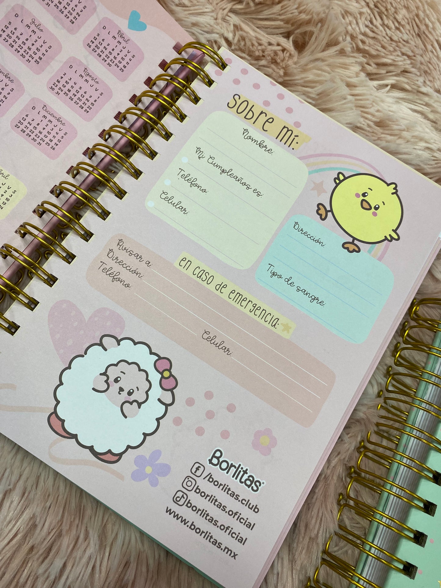 Agendas 2026 - Colección borlitas de espirales