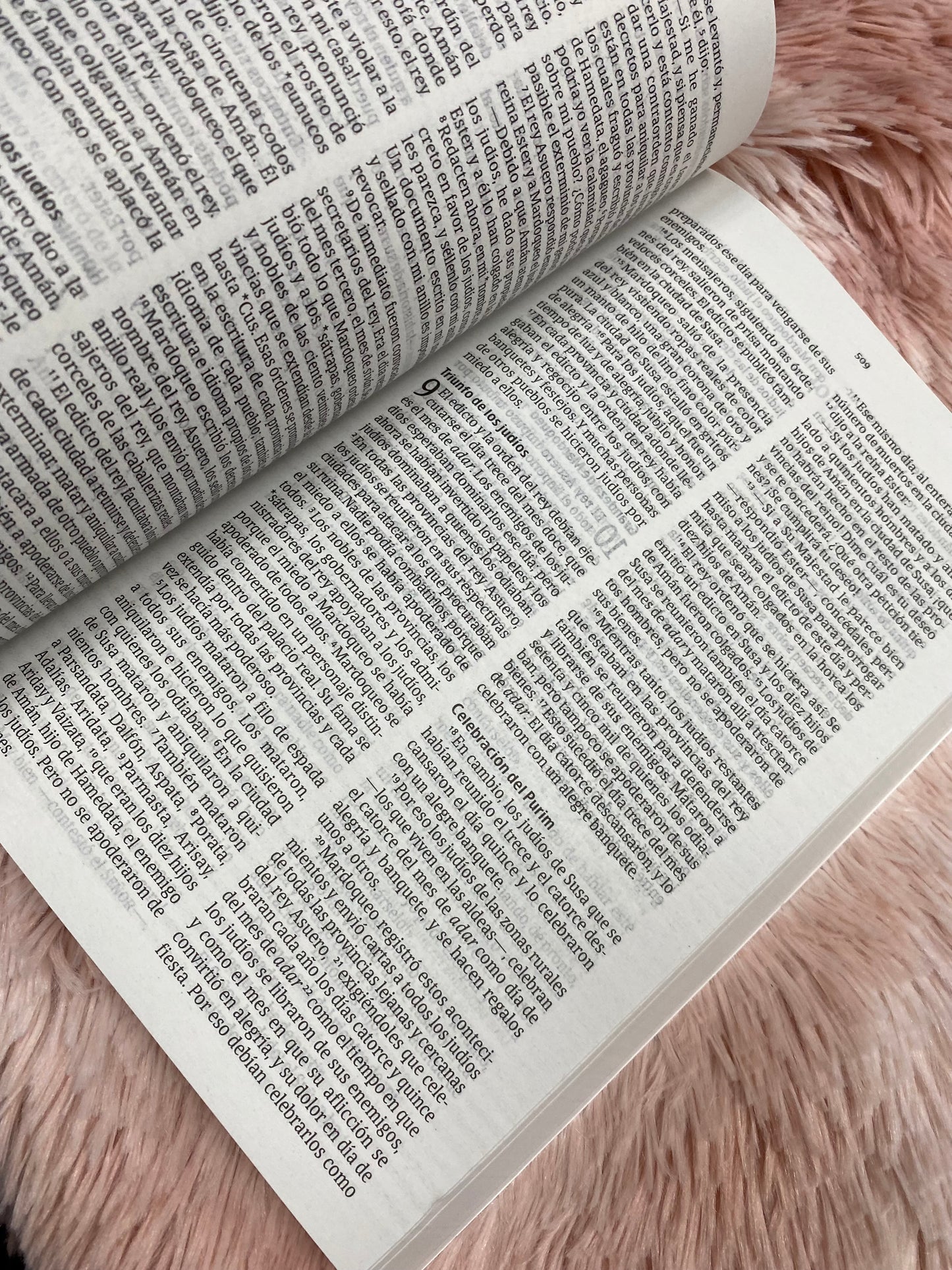 Biblia económica letra grande versión NVI papel delgado oscuro tapa rústica