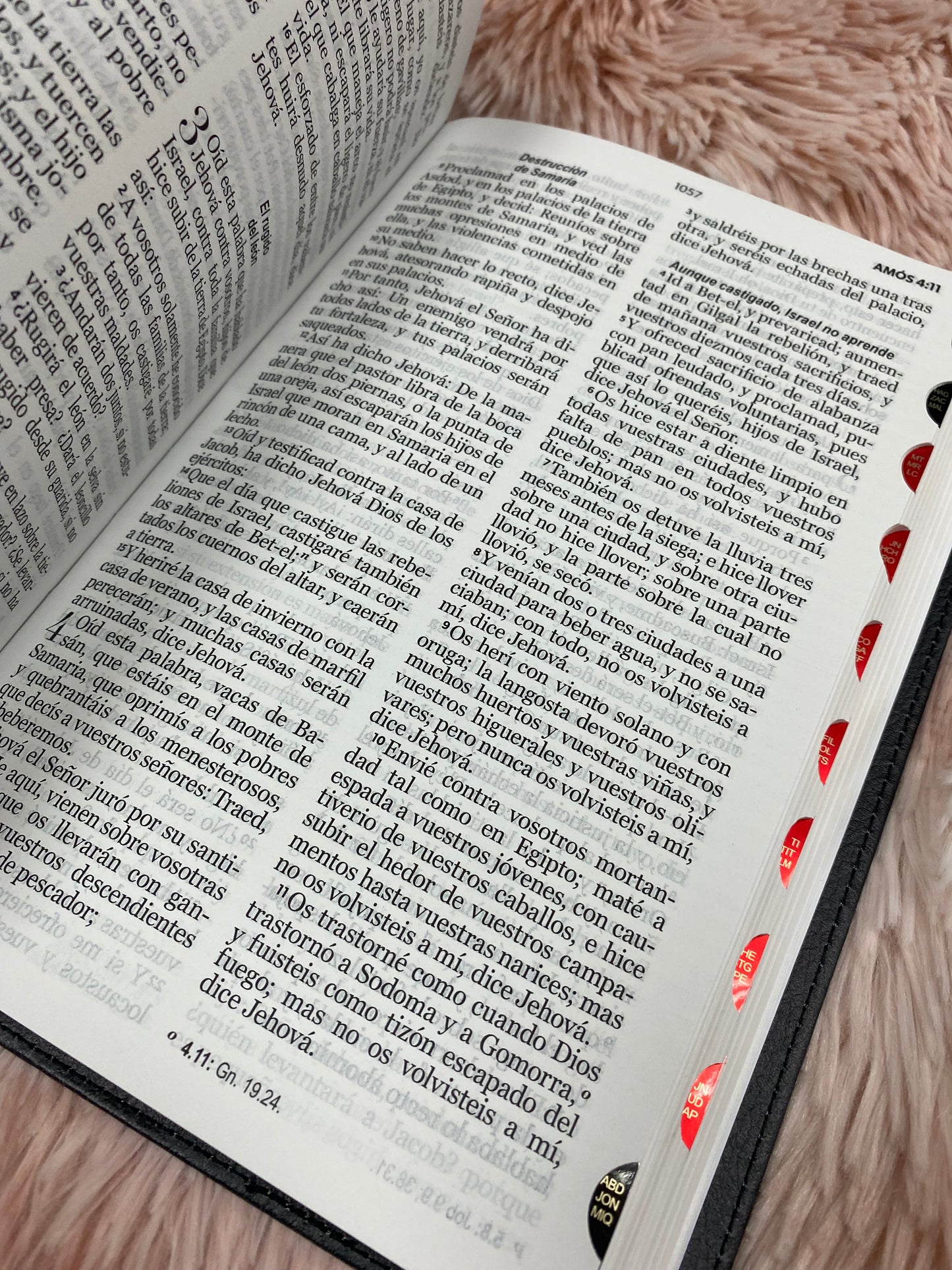 Biblia letra grande 12 puntos tapa flexible versión RV1960 con índice y con concordancia