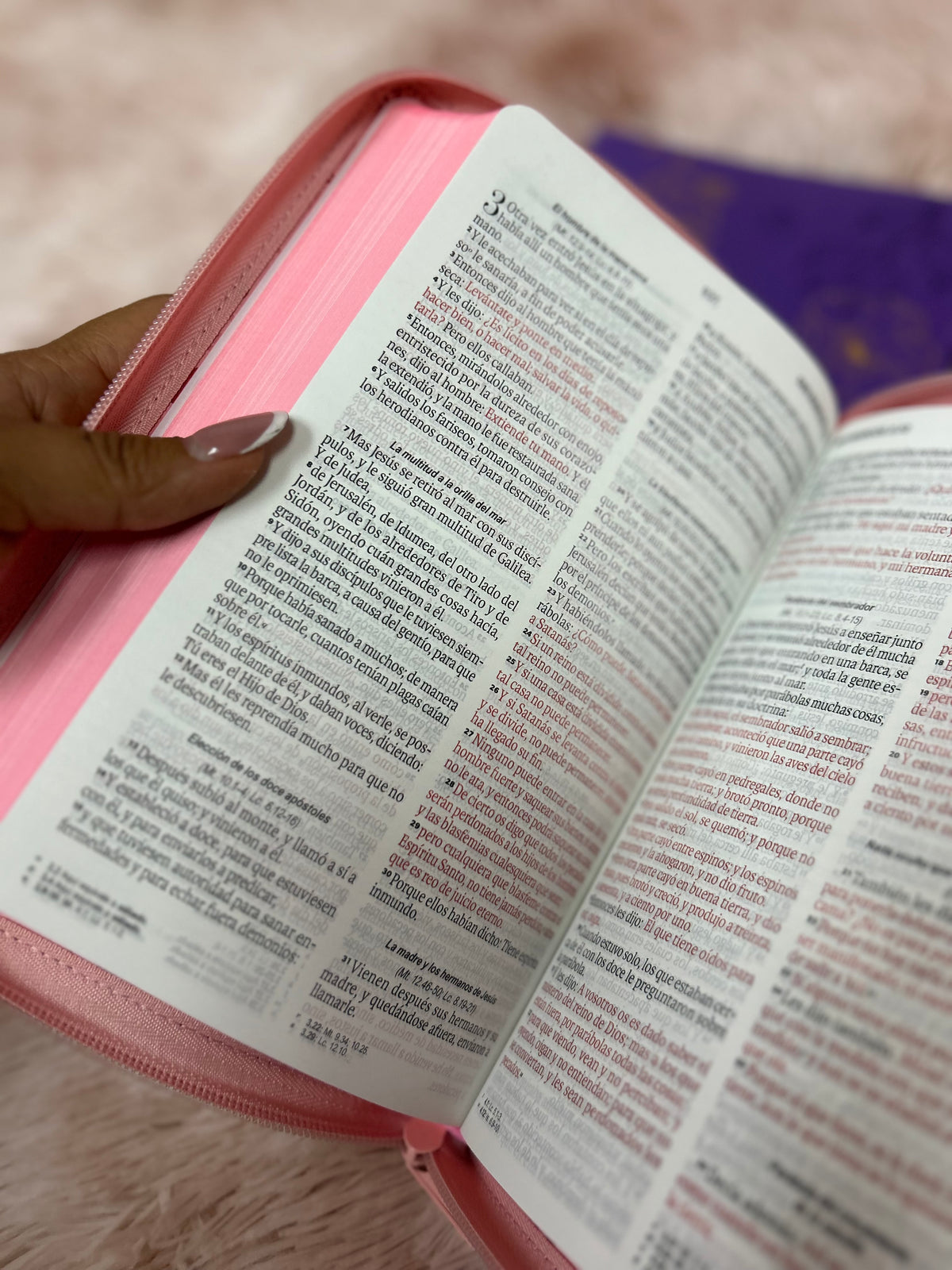 Biblia de letra grande 11,5 puntos con cierre en símil piel canto pintado palabras de Jesús en rojo y concordancia