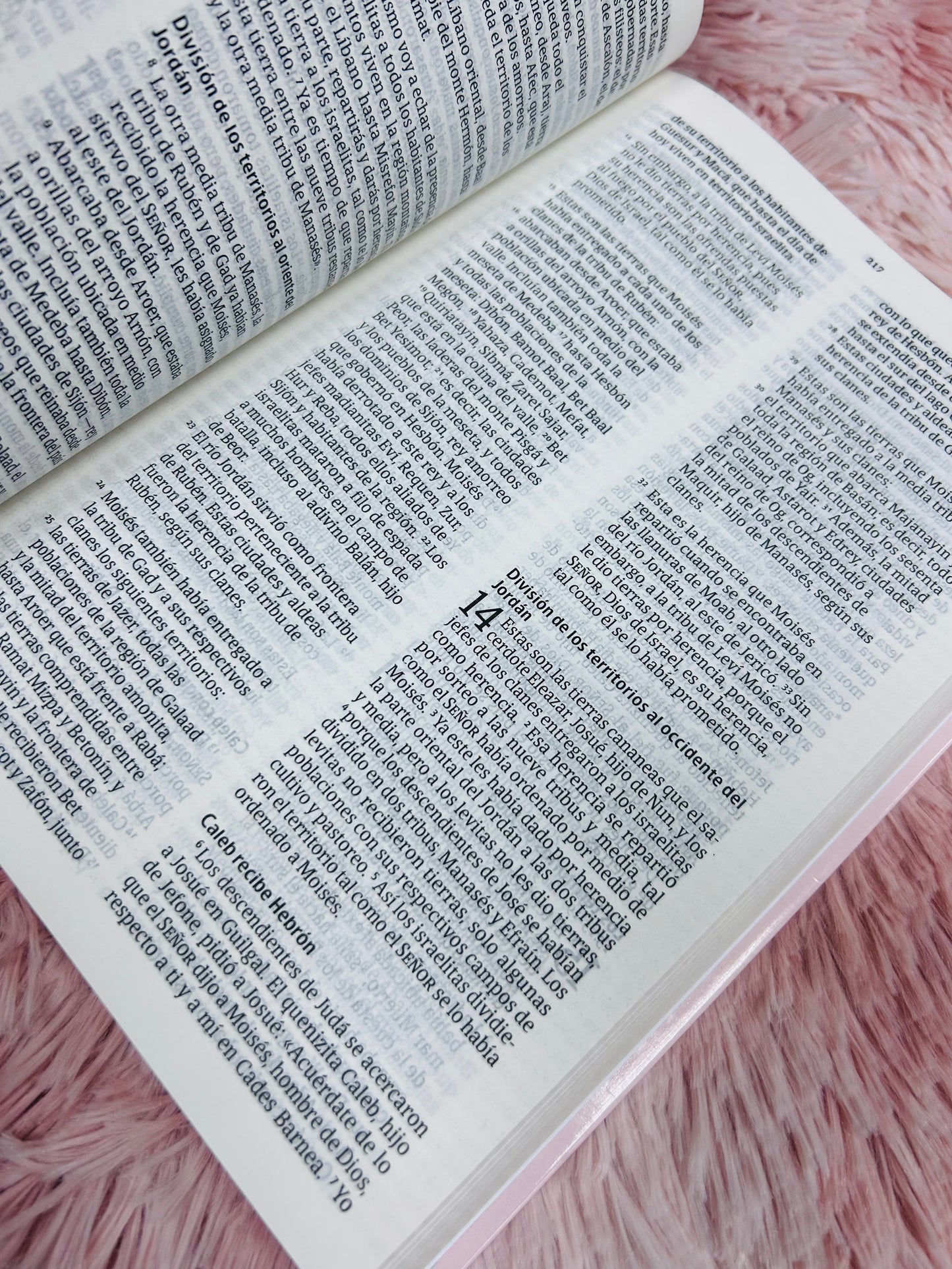 Biblia en tapa dura versión NVI letra mediana