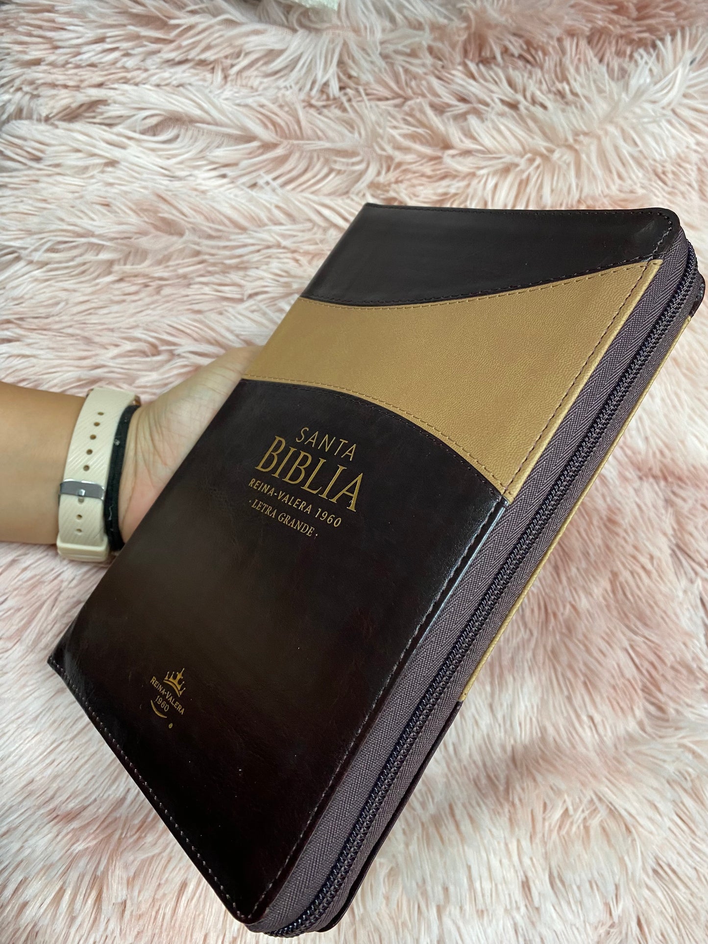 Biblia de letra grande 12 puntos de versión RV1960 con índice y cierre con concordancia en símil piel