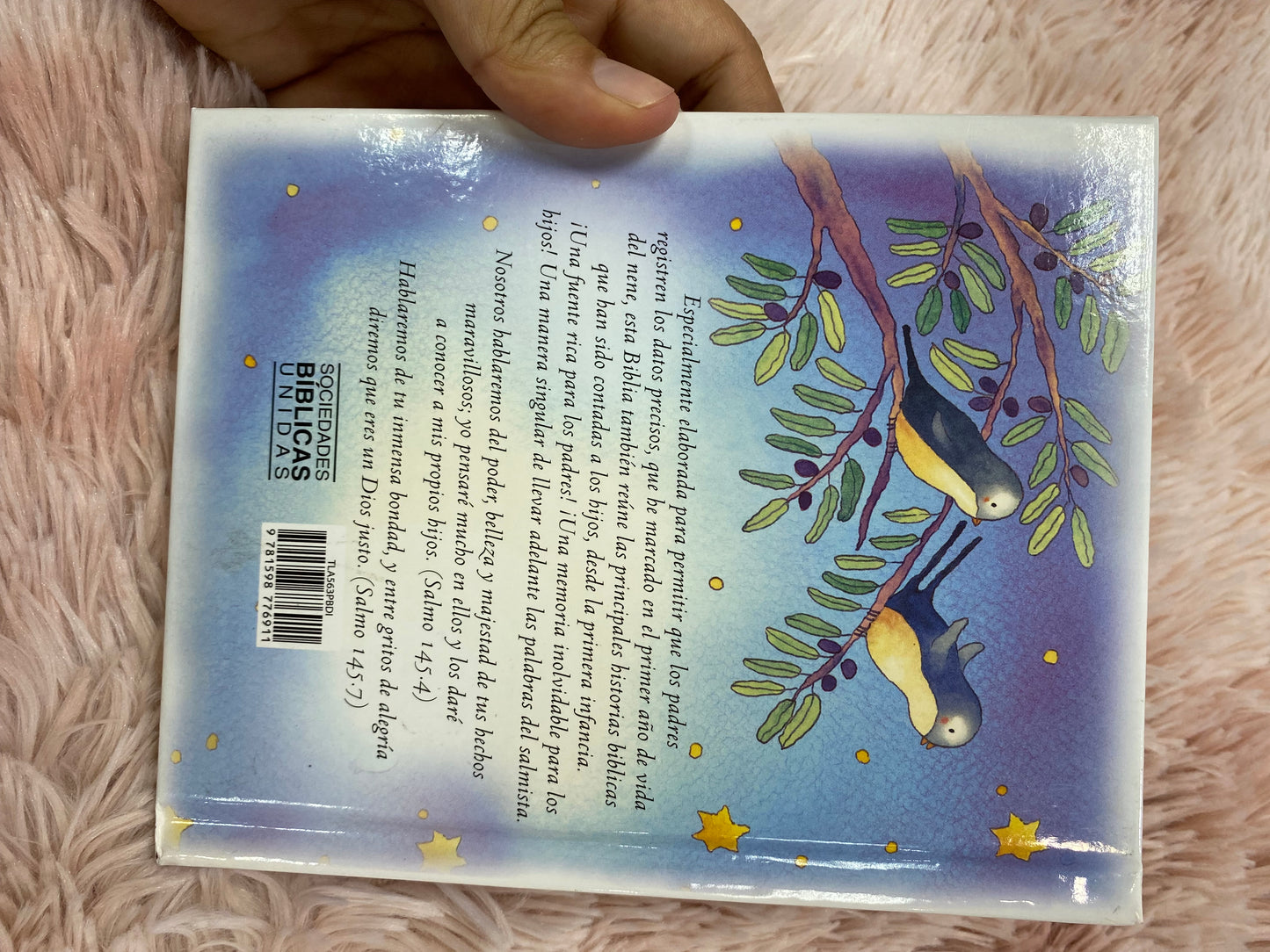 La biblia de a infancia historias ilustradas para niños