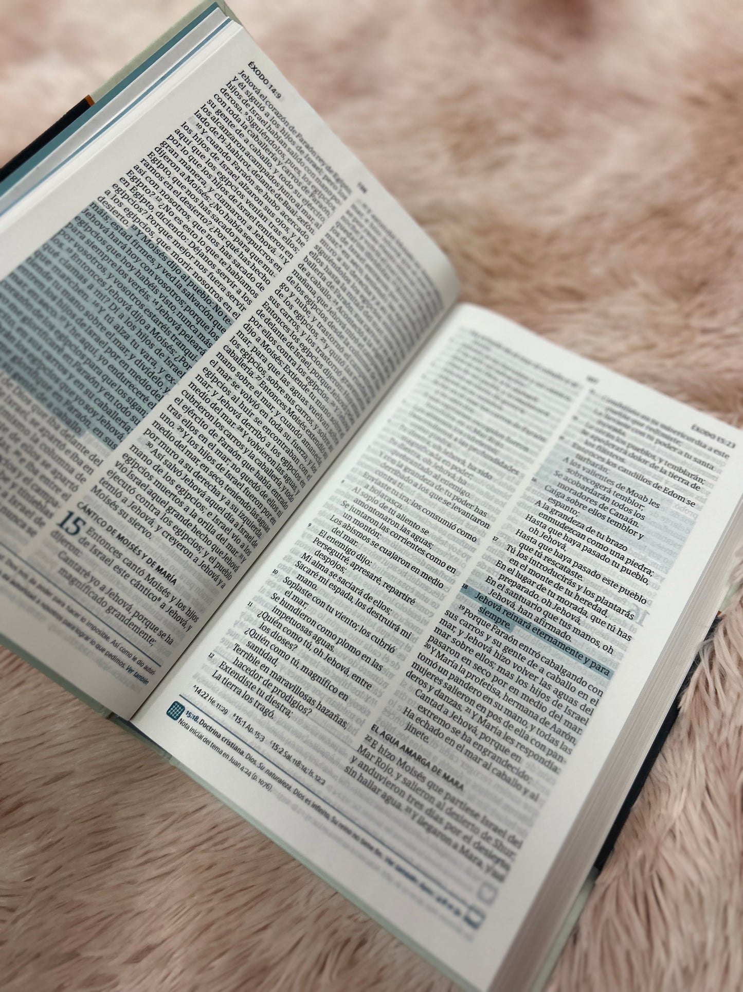 Biblia del pescador letra grande en tapa dura versión RV1960