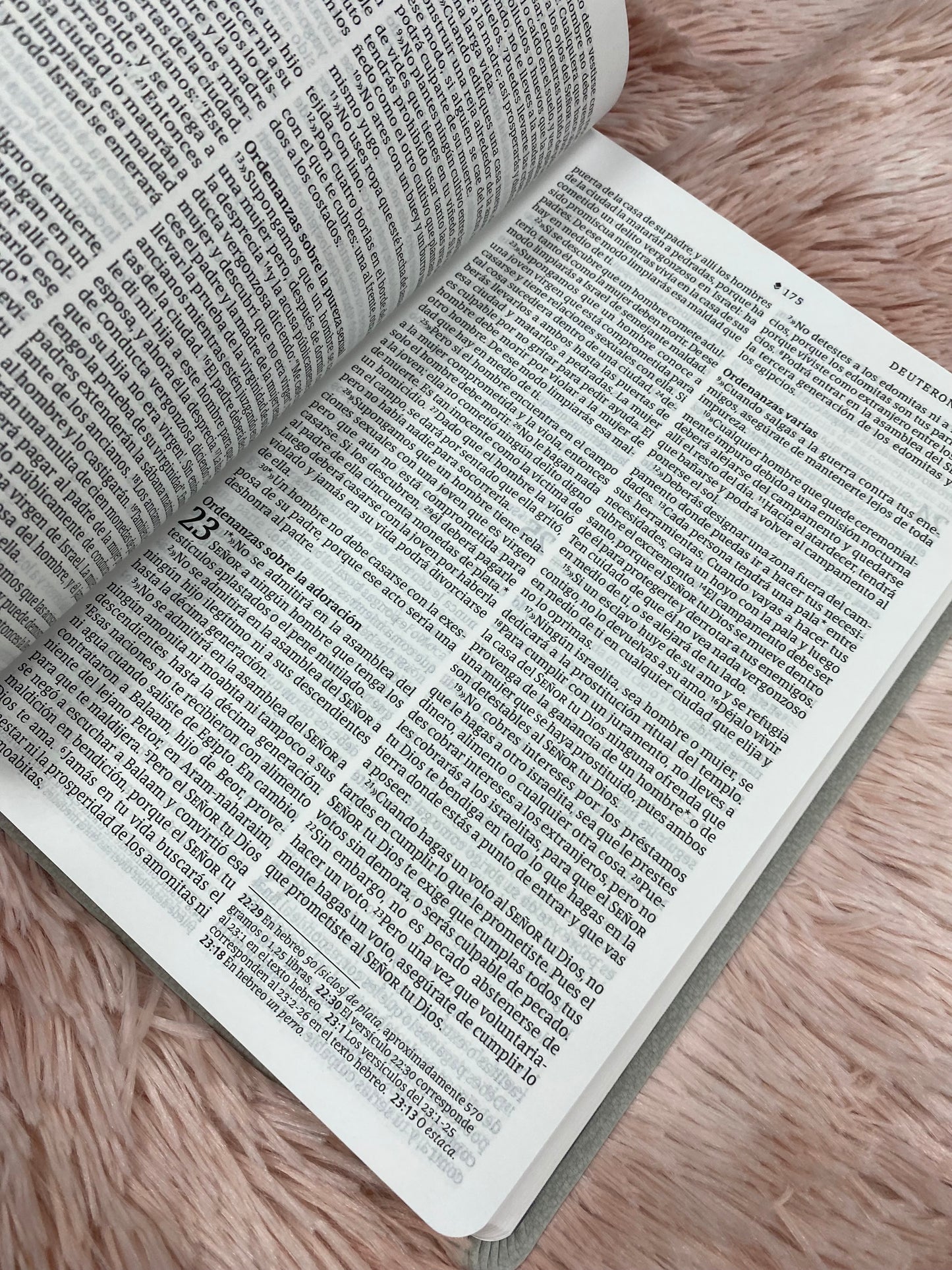 Biblia versión NTV de letra grande en símil piel