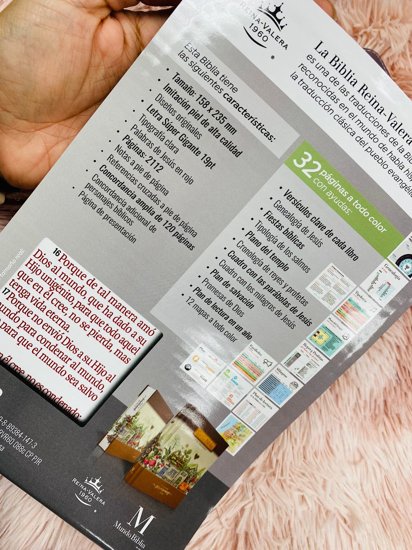 Biblia letra súper gigante 19 puntos con canto pintado versión RV1960 con concordancia