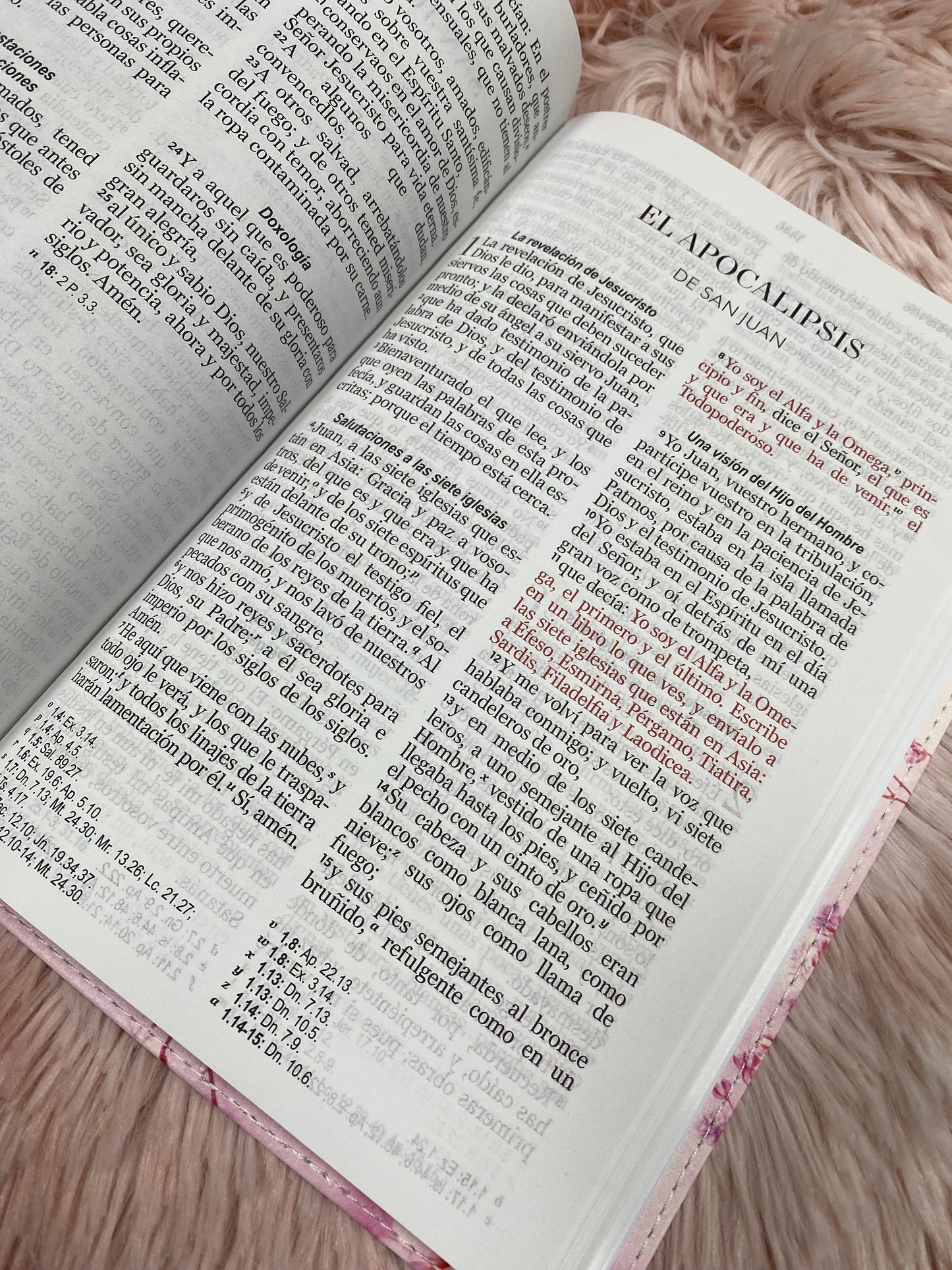 Biblia letra grande 12 puntos tapa flexible versión RV1960 con concordancia
