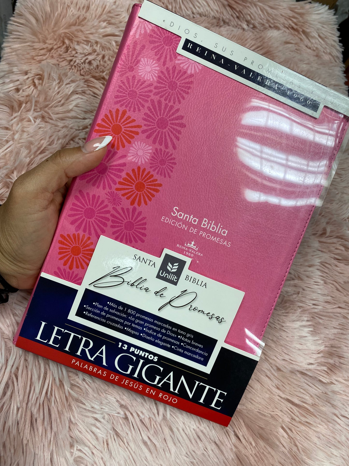 Biblia de promesas letra gigante 13 puntos con índice y cierre palabras de Jesús en rojo