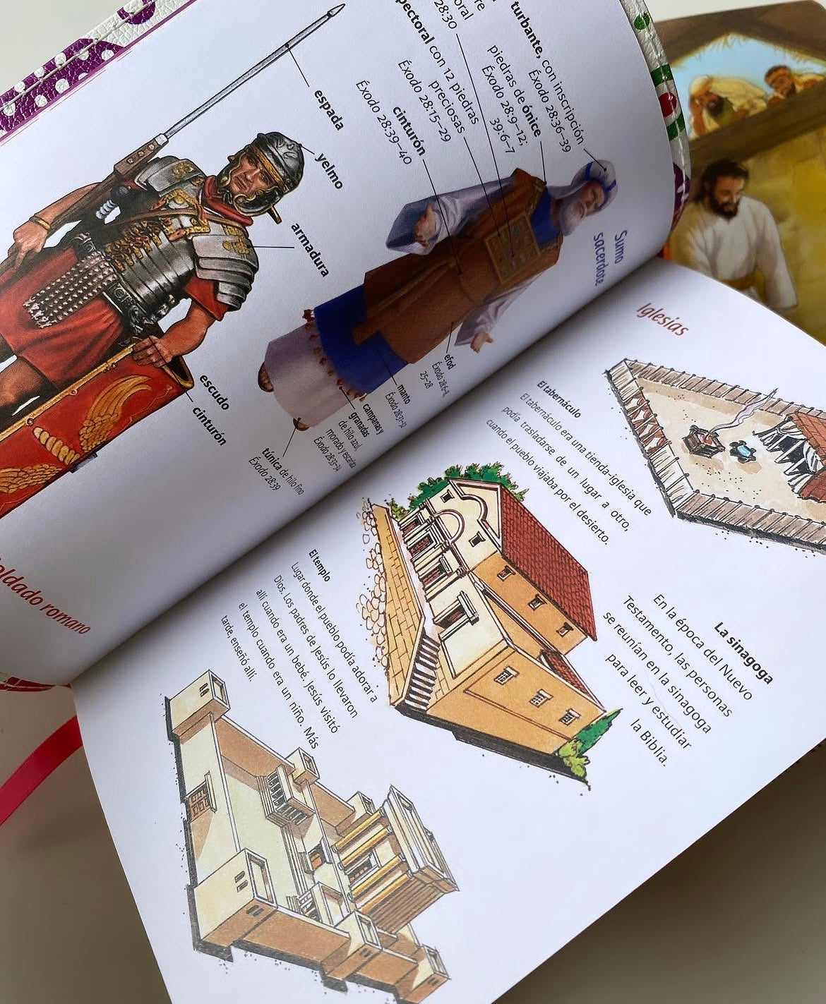 Biblia luz en mi camino versión NVI para jóvenes varón ilustrada letra mediana 8,5 puntos canto pintado símil piel tamaño compacto