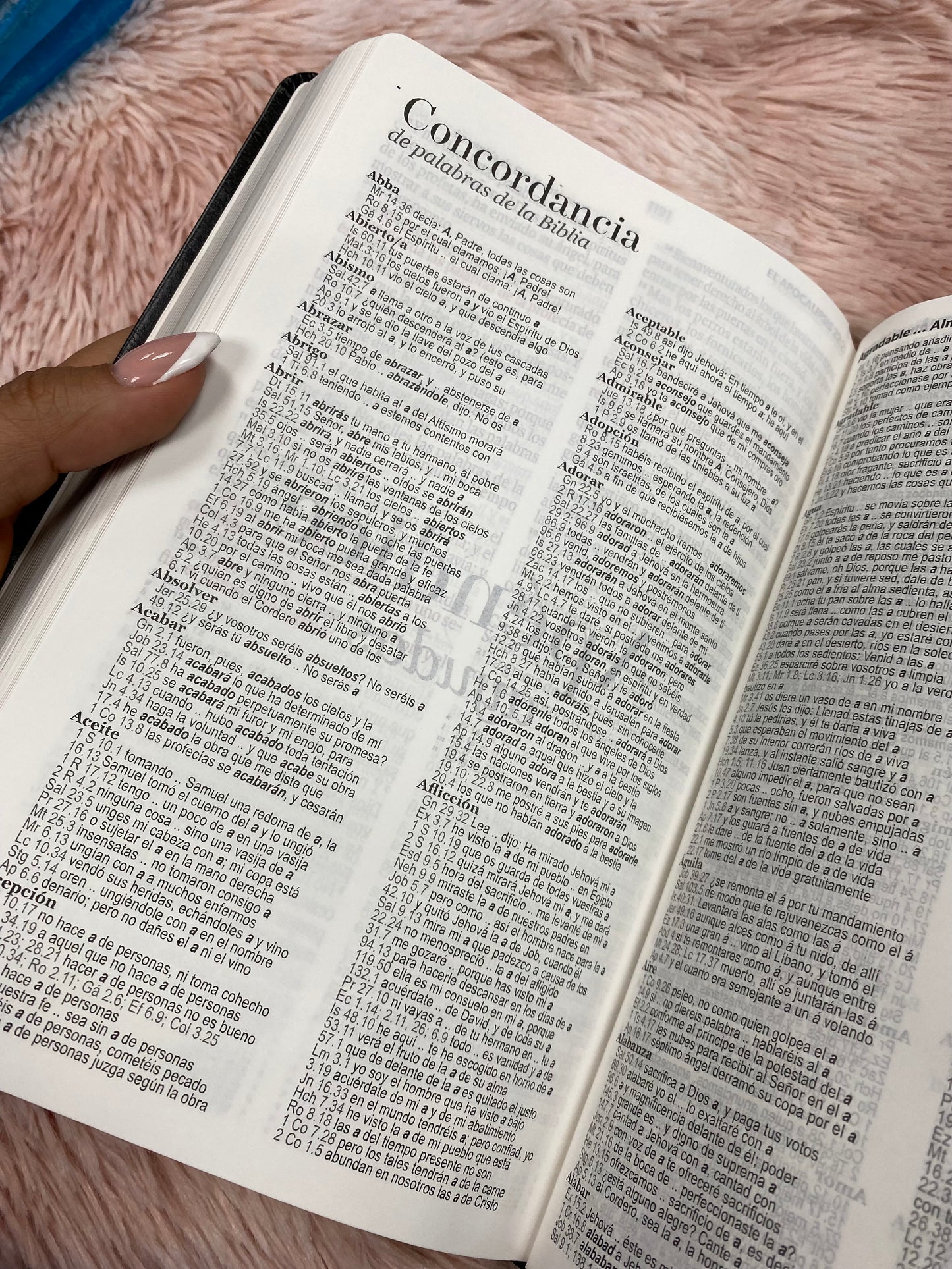 Biblia versión RV1960 en imitación piel de alta calidad letra grande 11,5 puntos canto pintado con concordancia y palabras de Jesús en rojo