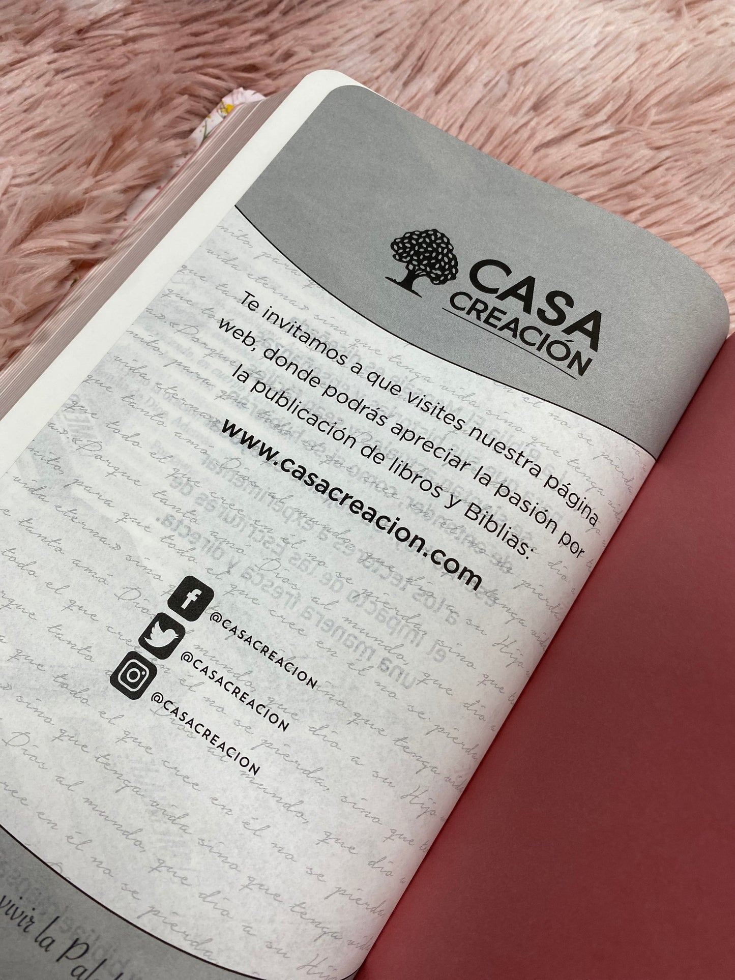 Biblia versión el mensaje de tapa dura y letra grande