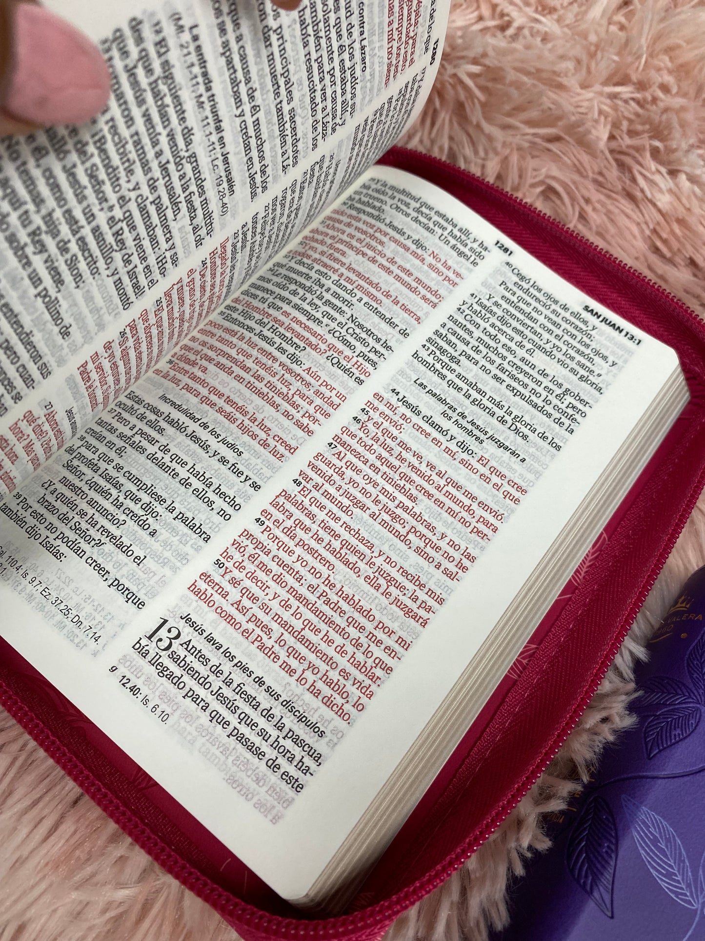 Biblia pequeña letra grande 10 puntos versión RV1960 con cierre canto dorado y concordancia